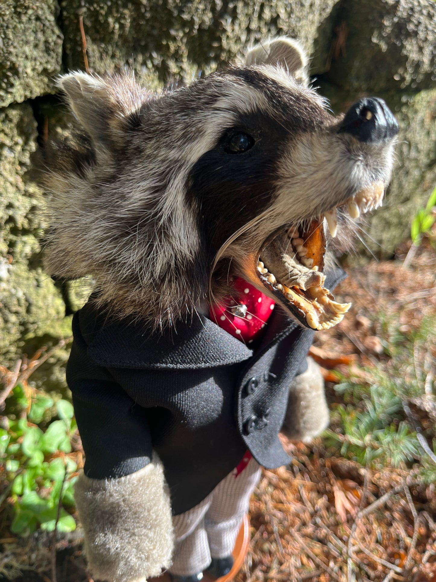Tycoon Raccoon