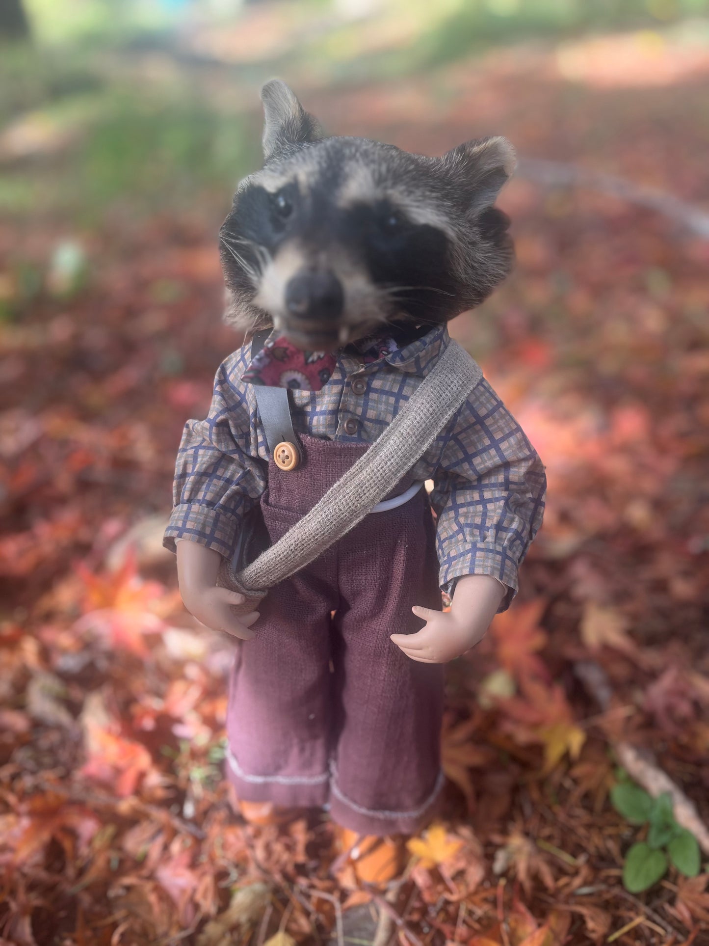 Old school raccoon