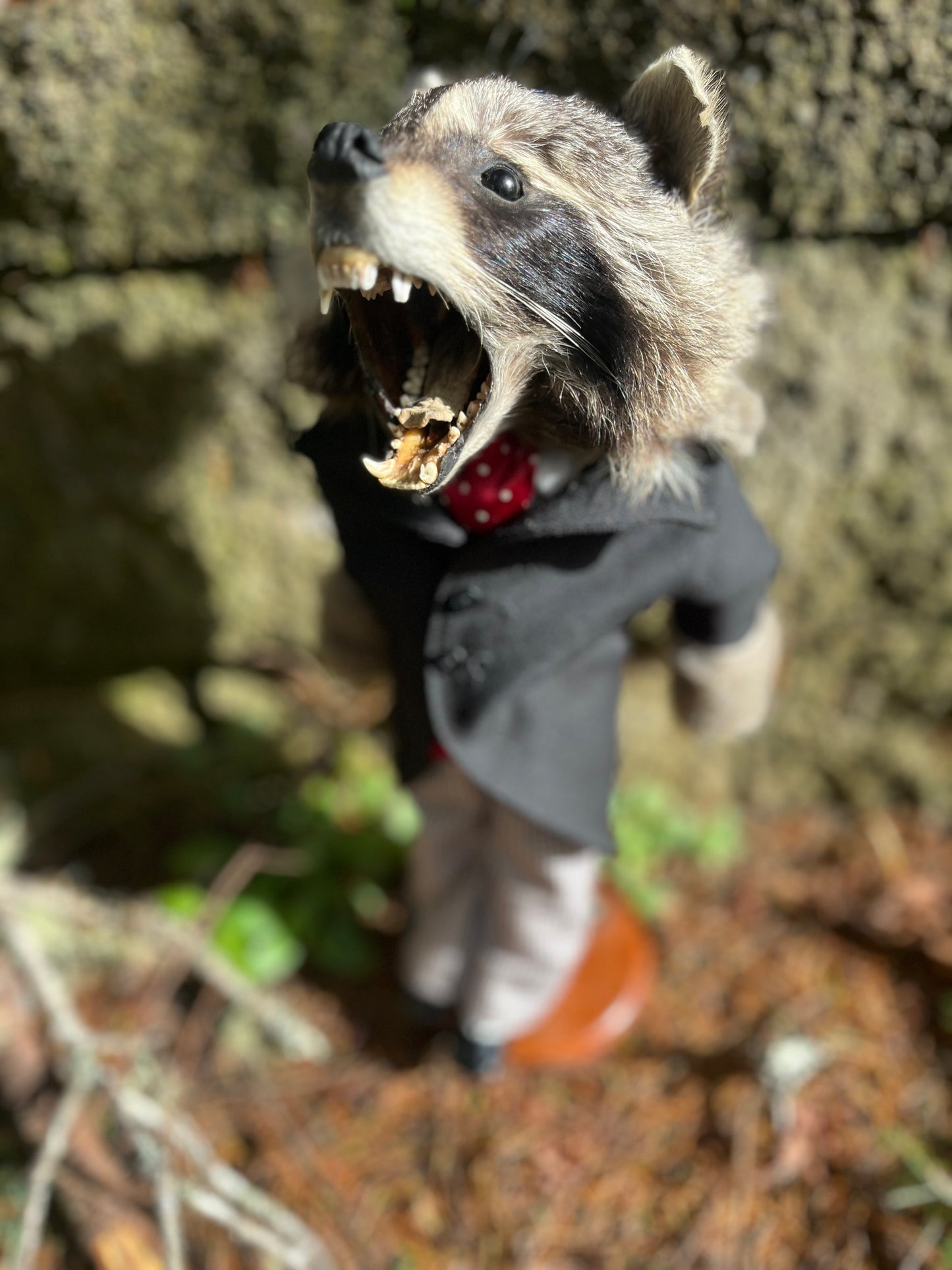 Tycoon Raccoon