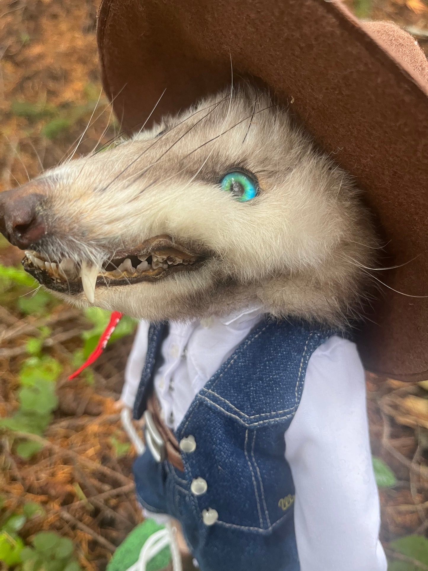 Opossum Cowgirl