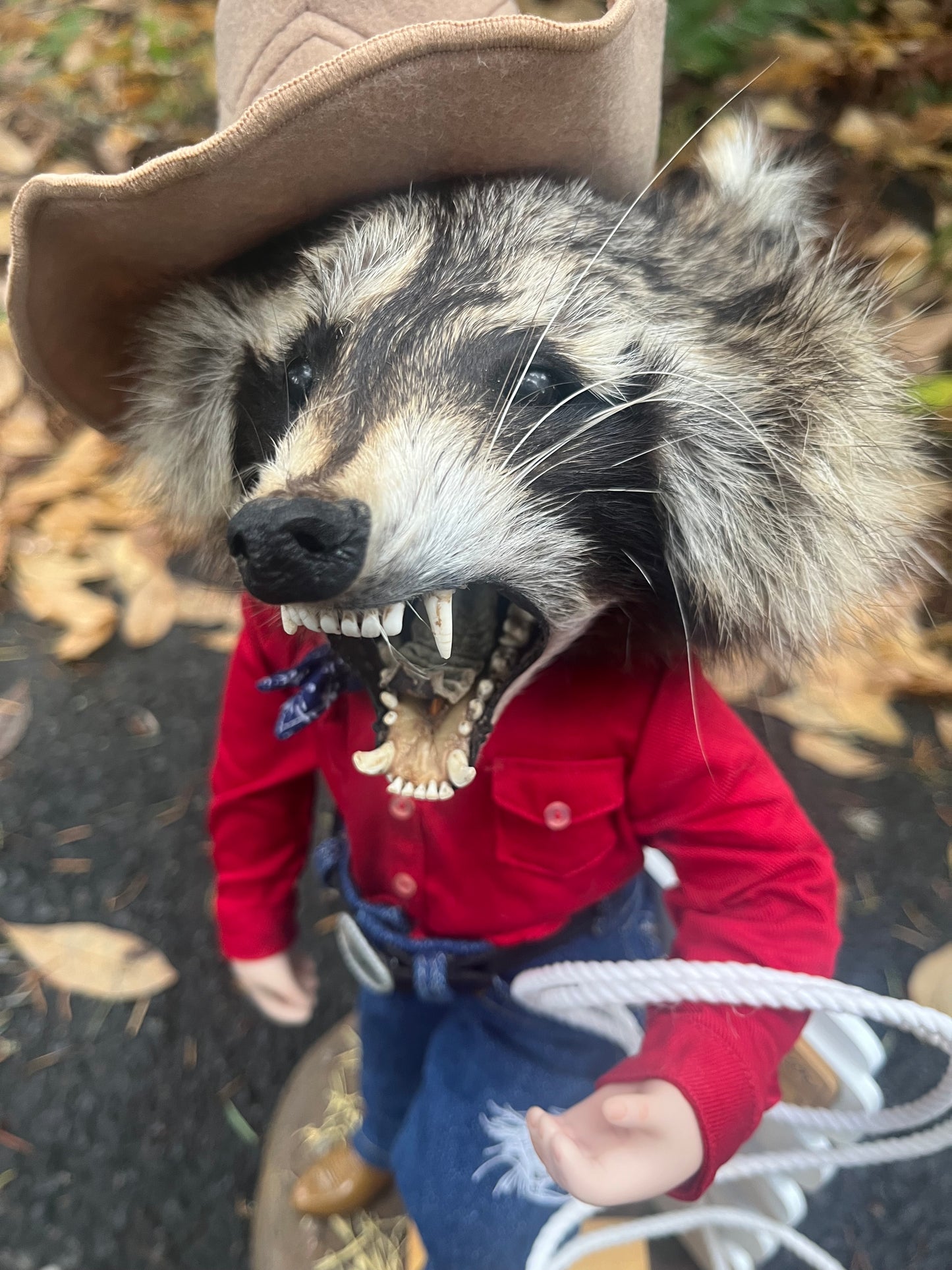 Cowboy Raccoon