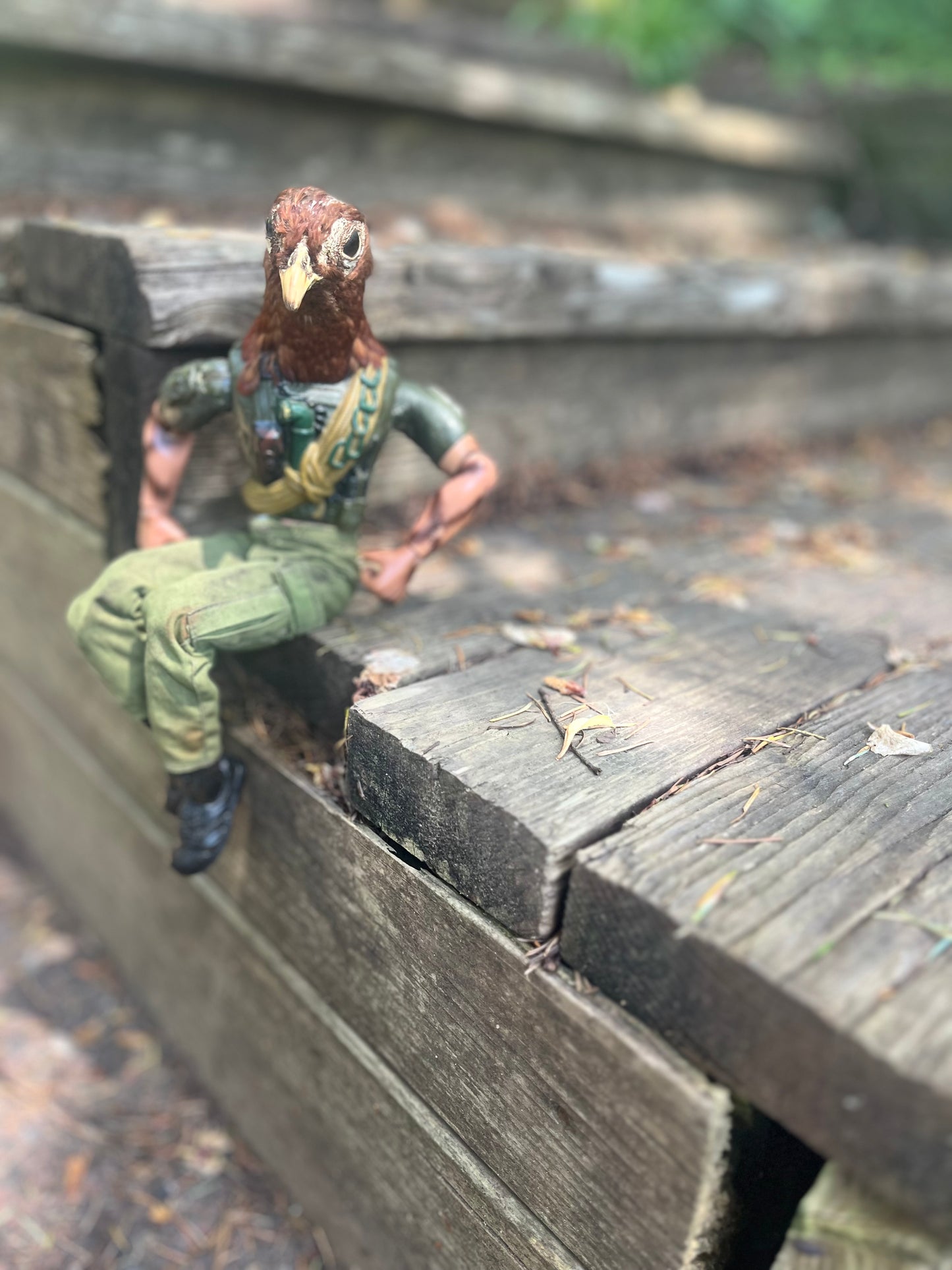 GI Joe Pheasant