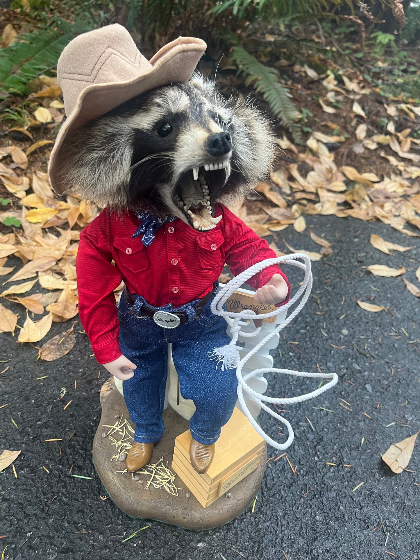 Cowboy Raccoon
