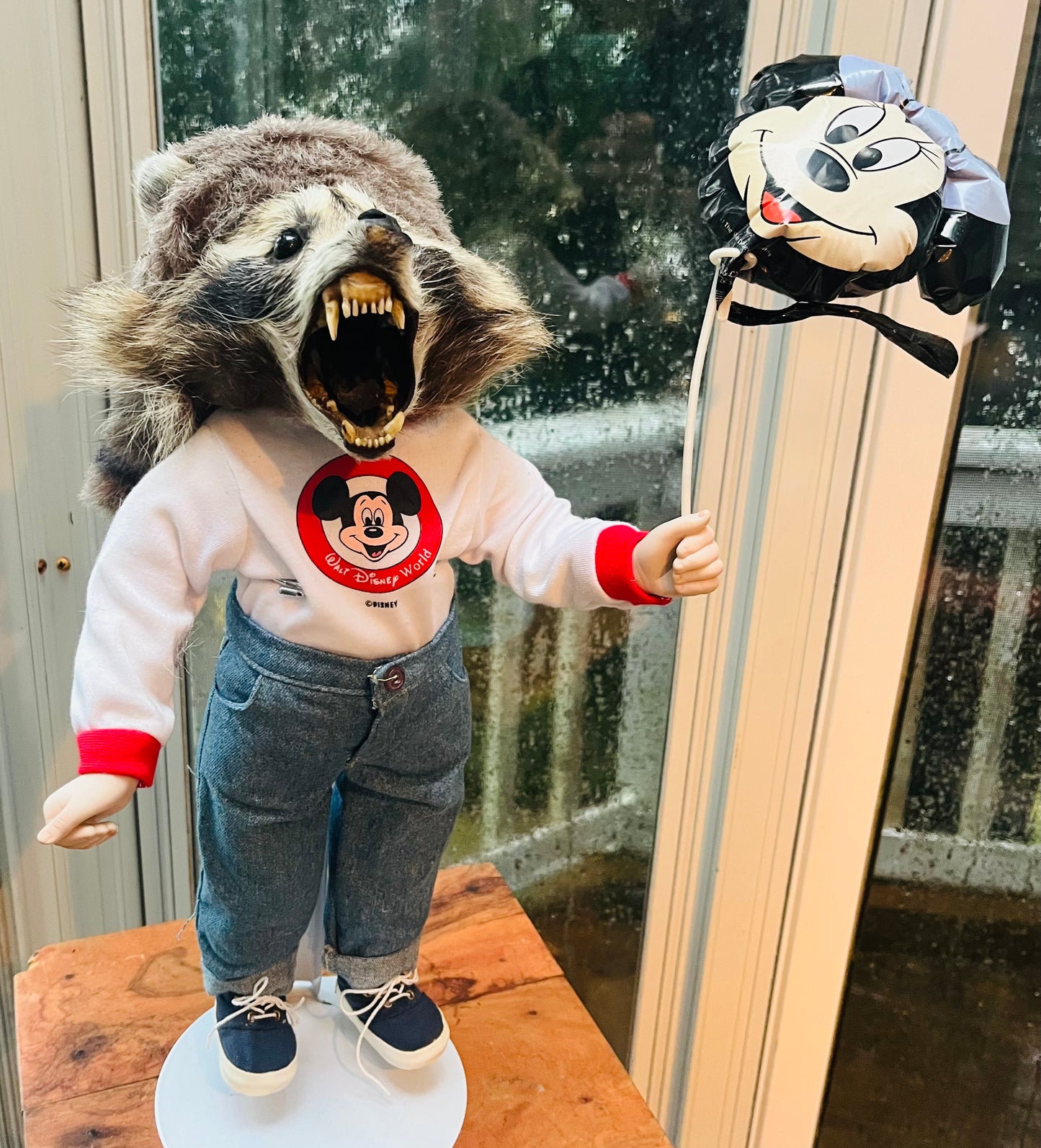 Disney raccoon