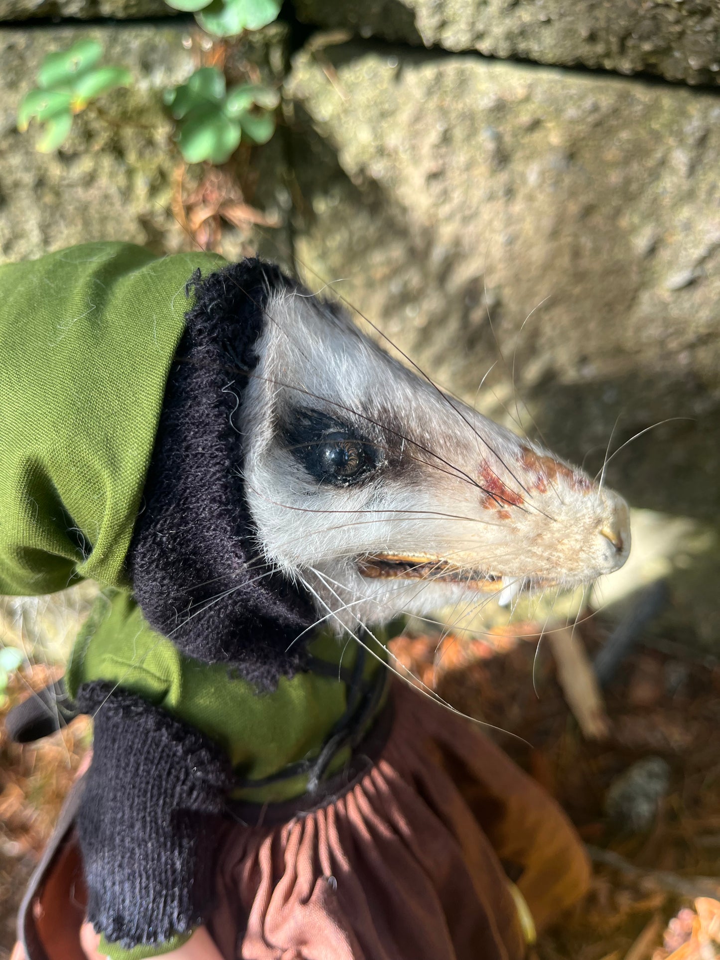Esmeralda Opossum