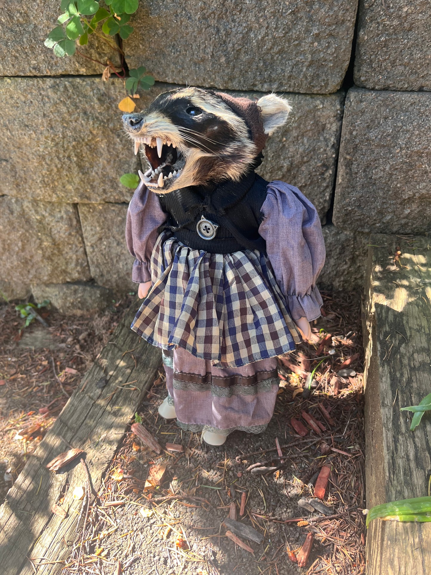Taxidermy Art doll: raccoon