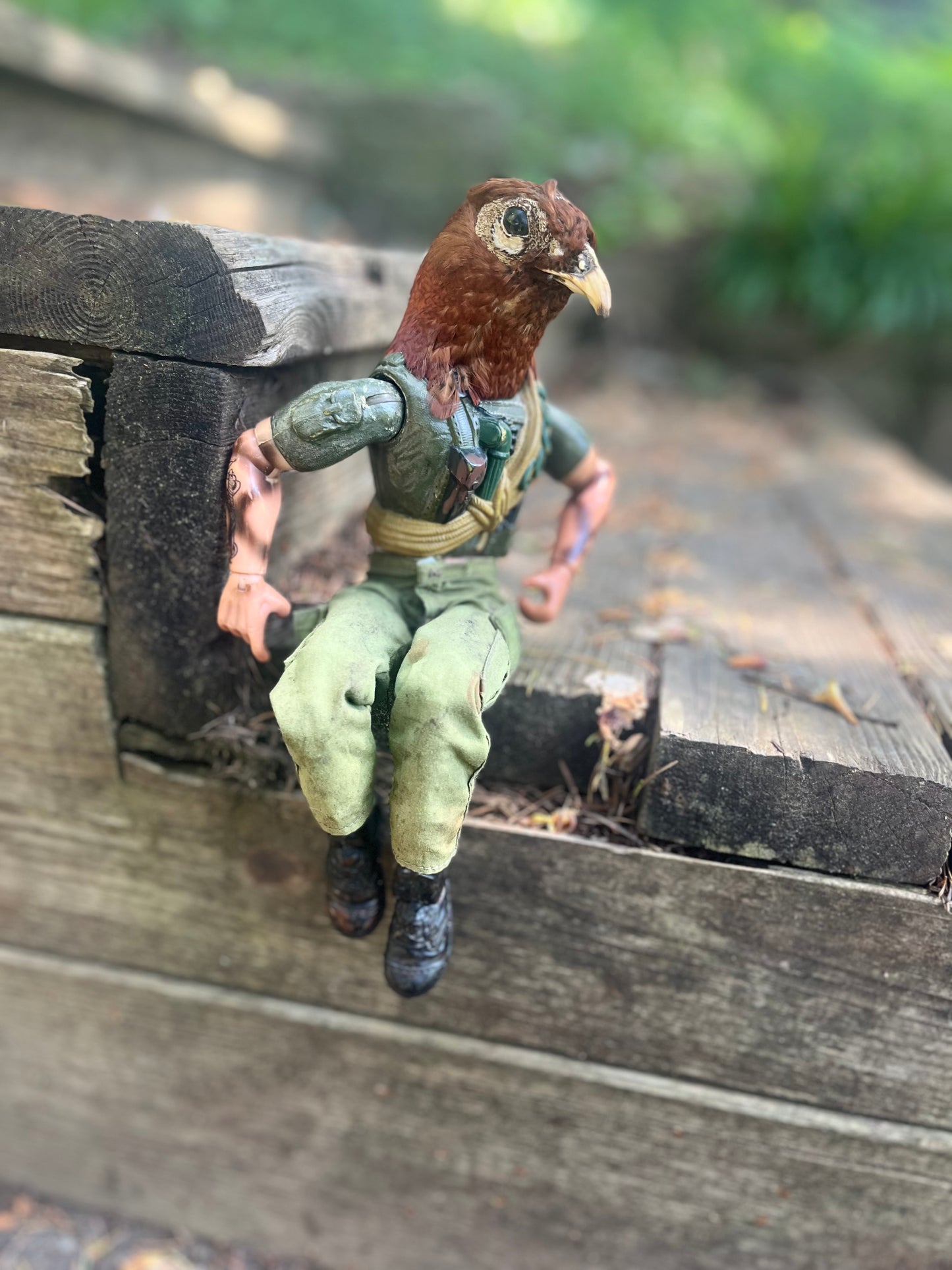 GI Joe Pheasant
