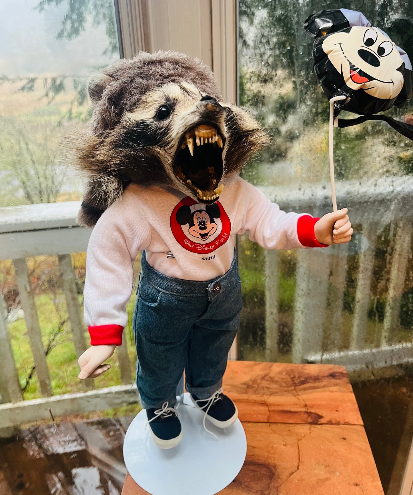 Disney raccoon