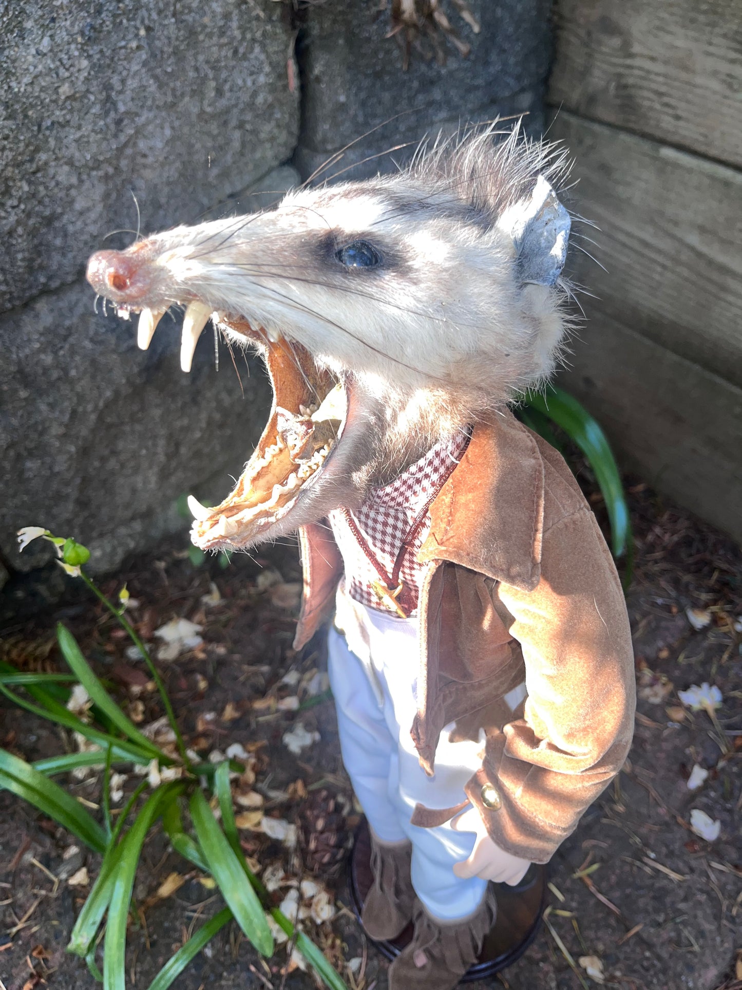 Horse Girl Opossum