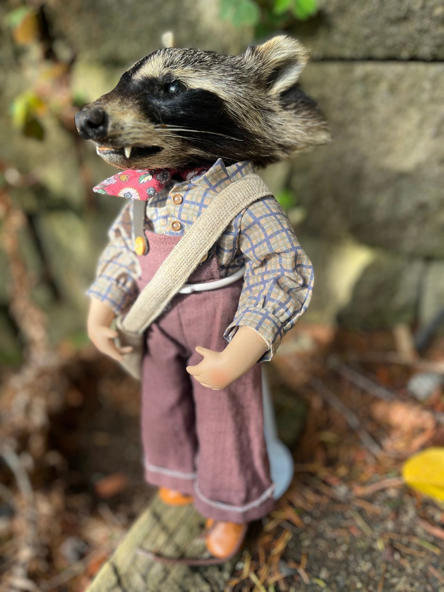 Old school raccoon
