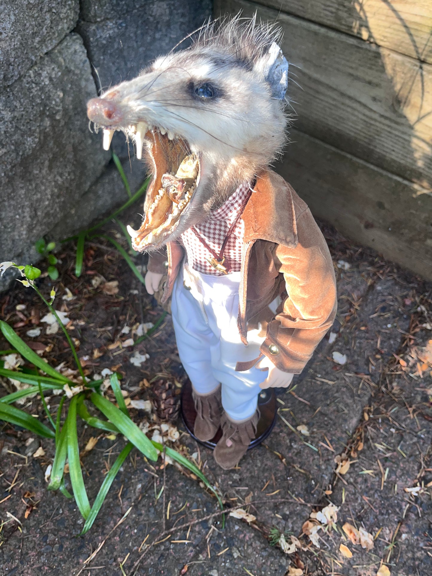 Horse Girl Opossum