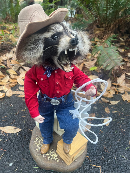 Cowboy Raccoon