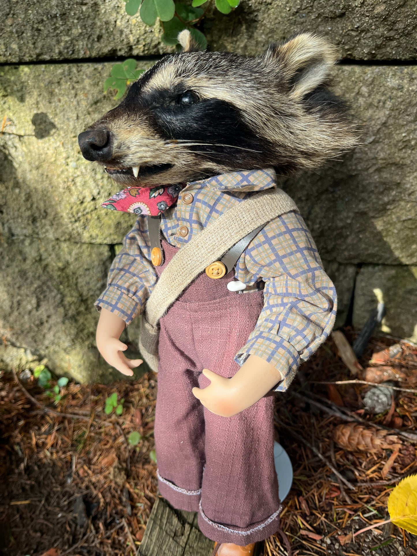 Old school raccoon