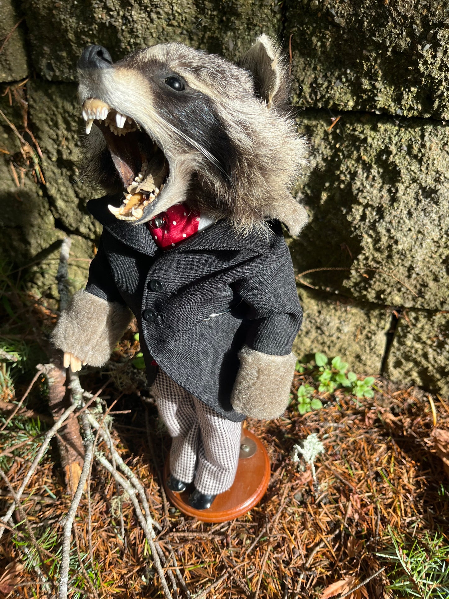 Tycoon Raccoon
