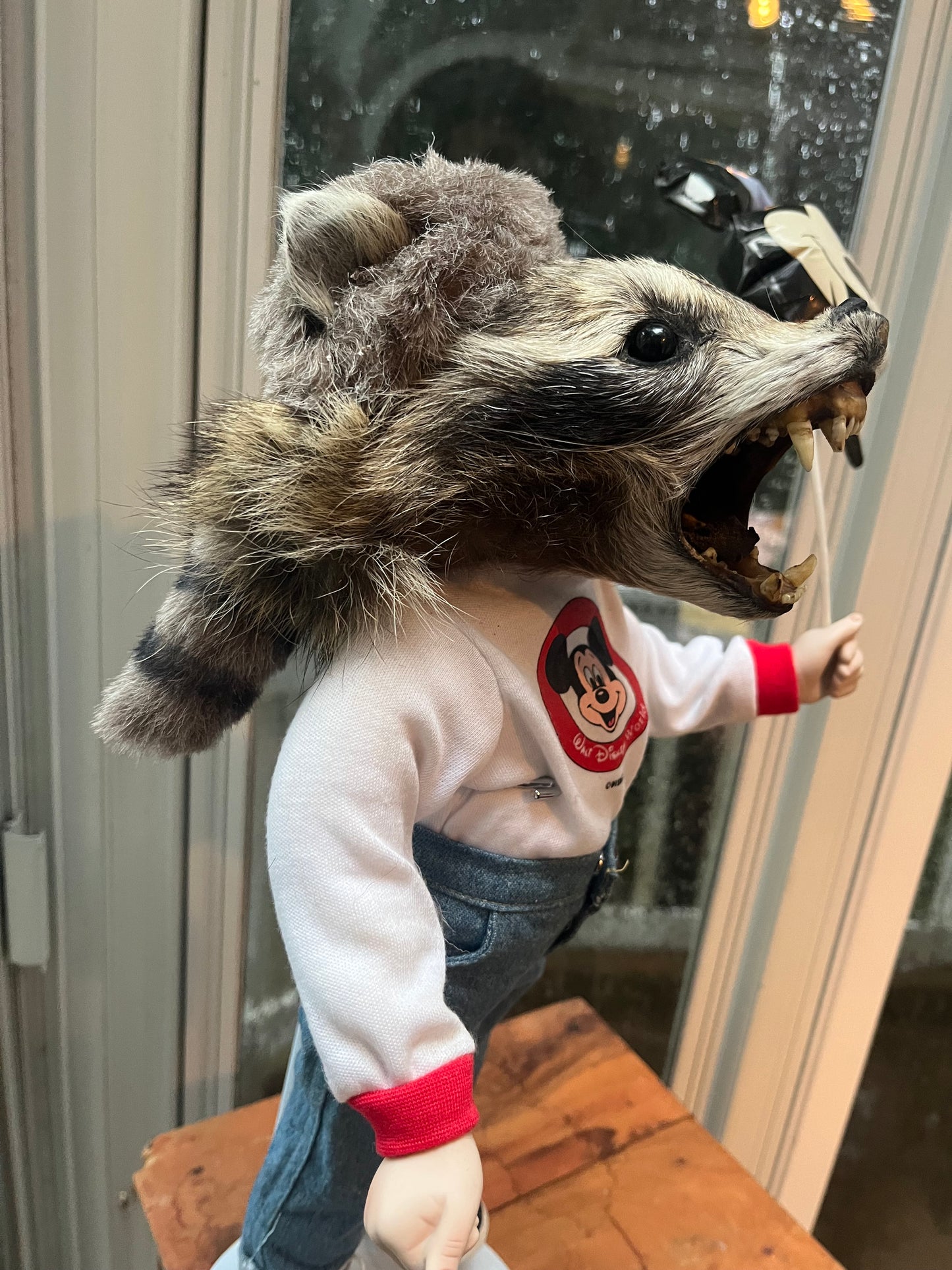 Disney raccoon