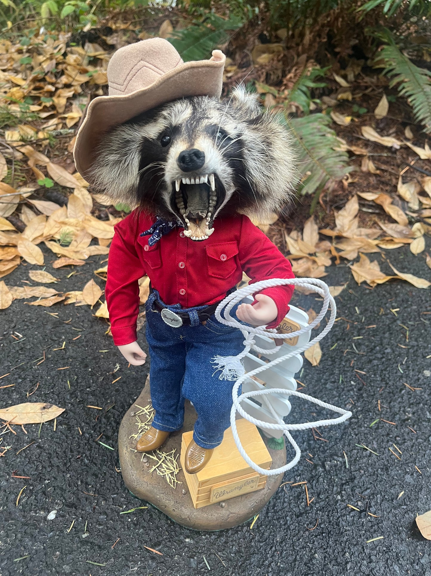 Cowboy Raccoon