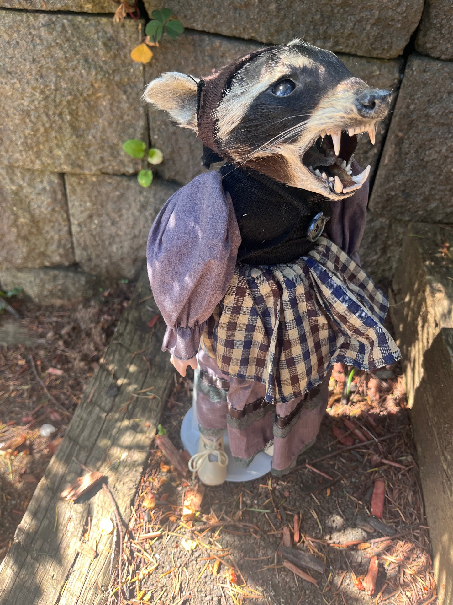 Taxidermy Art doll: raccoon