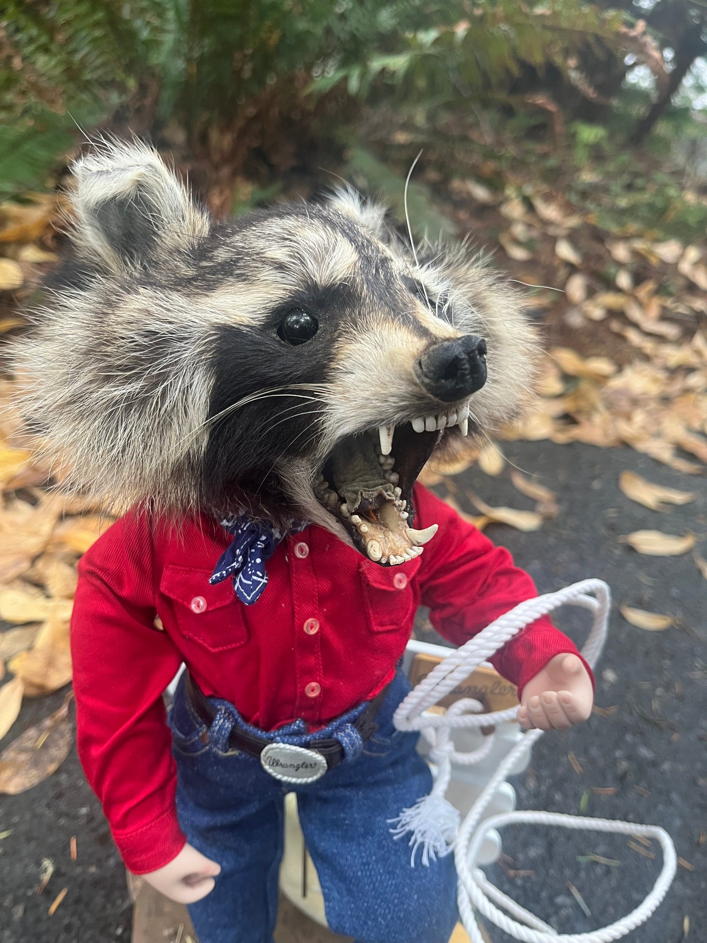 Cowboy Raccoon