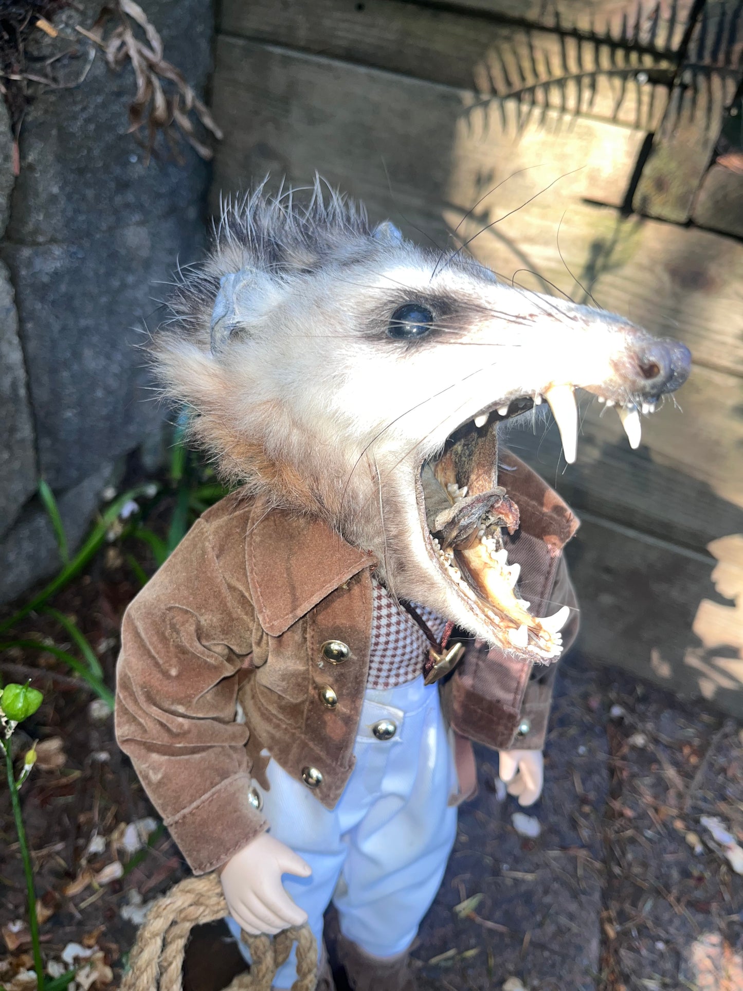Horse Girl Opossum