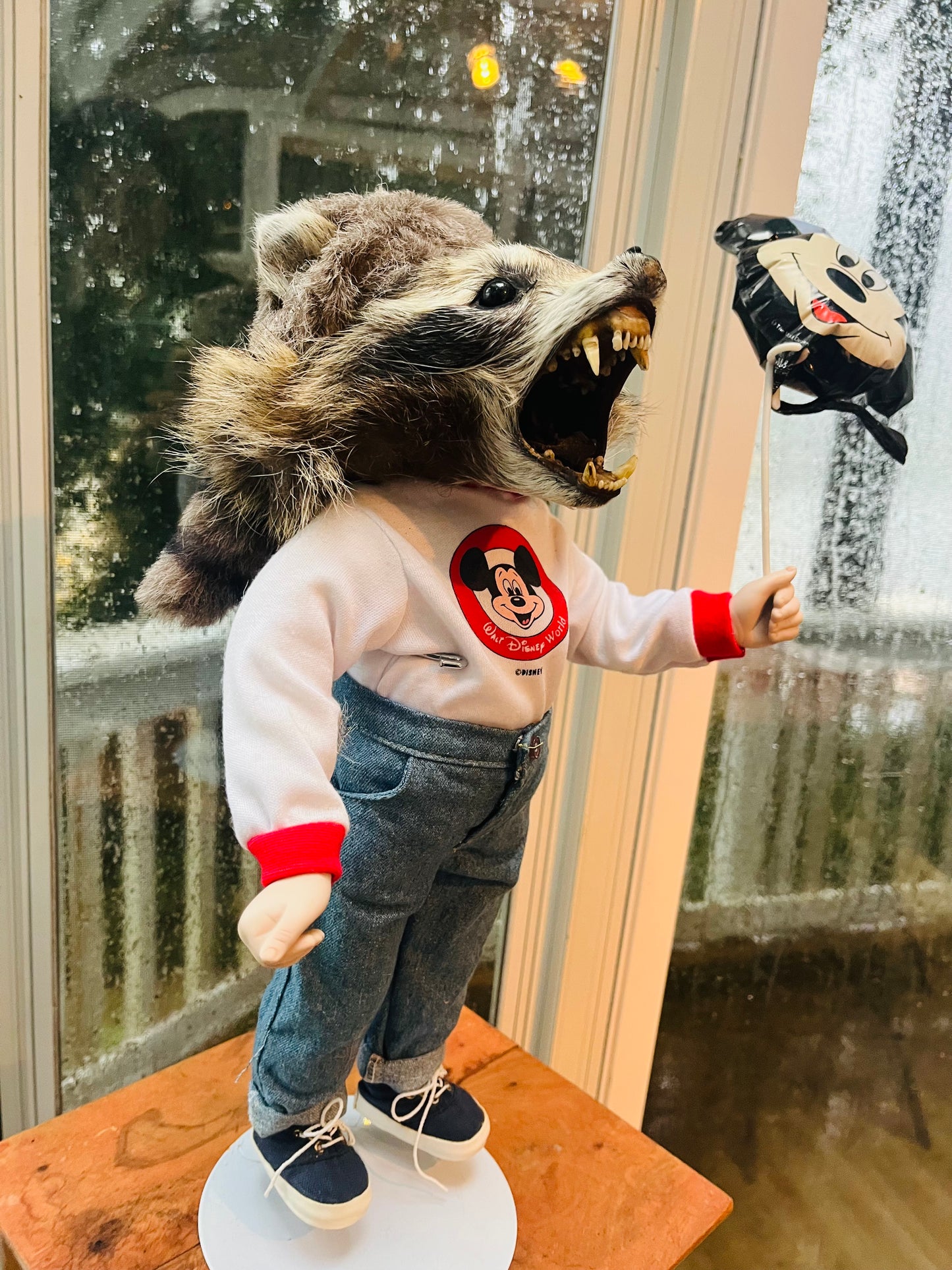Disney raccoon