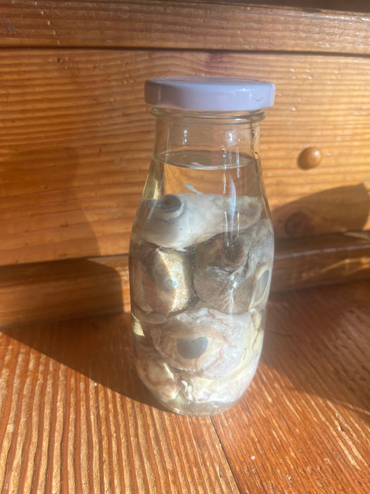 Jar of pig eyes