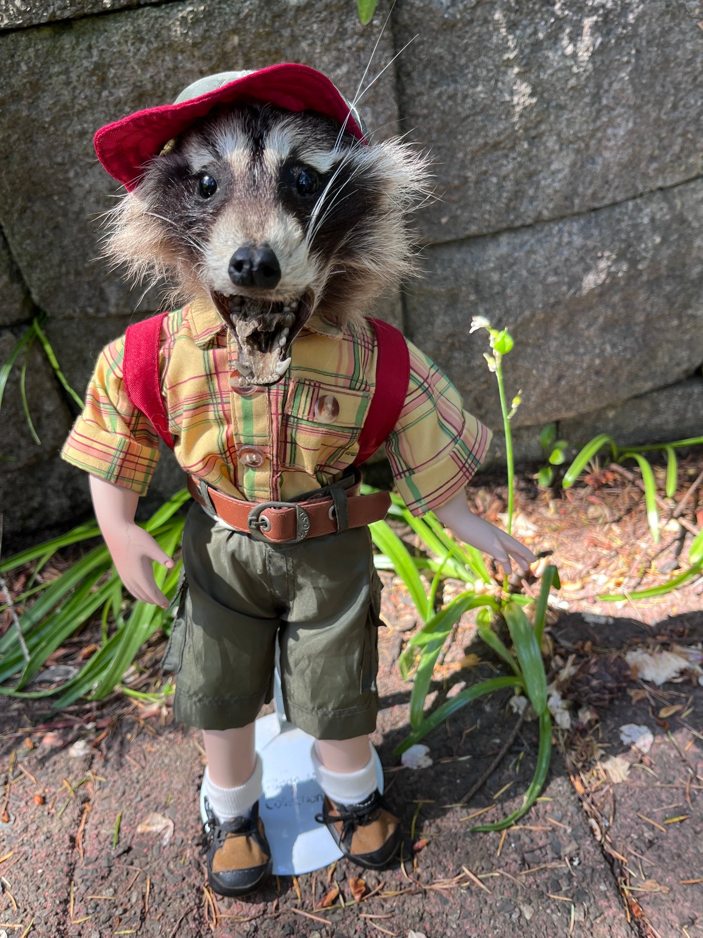 Lil camper raccoon