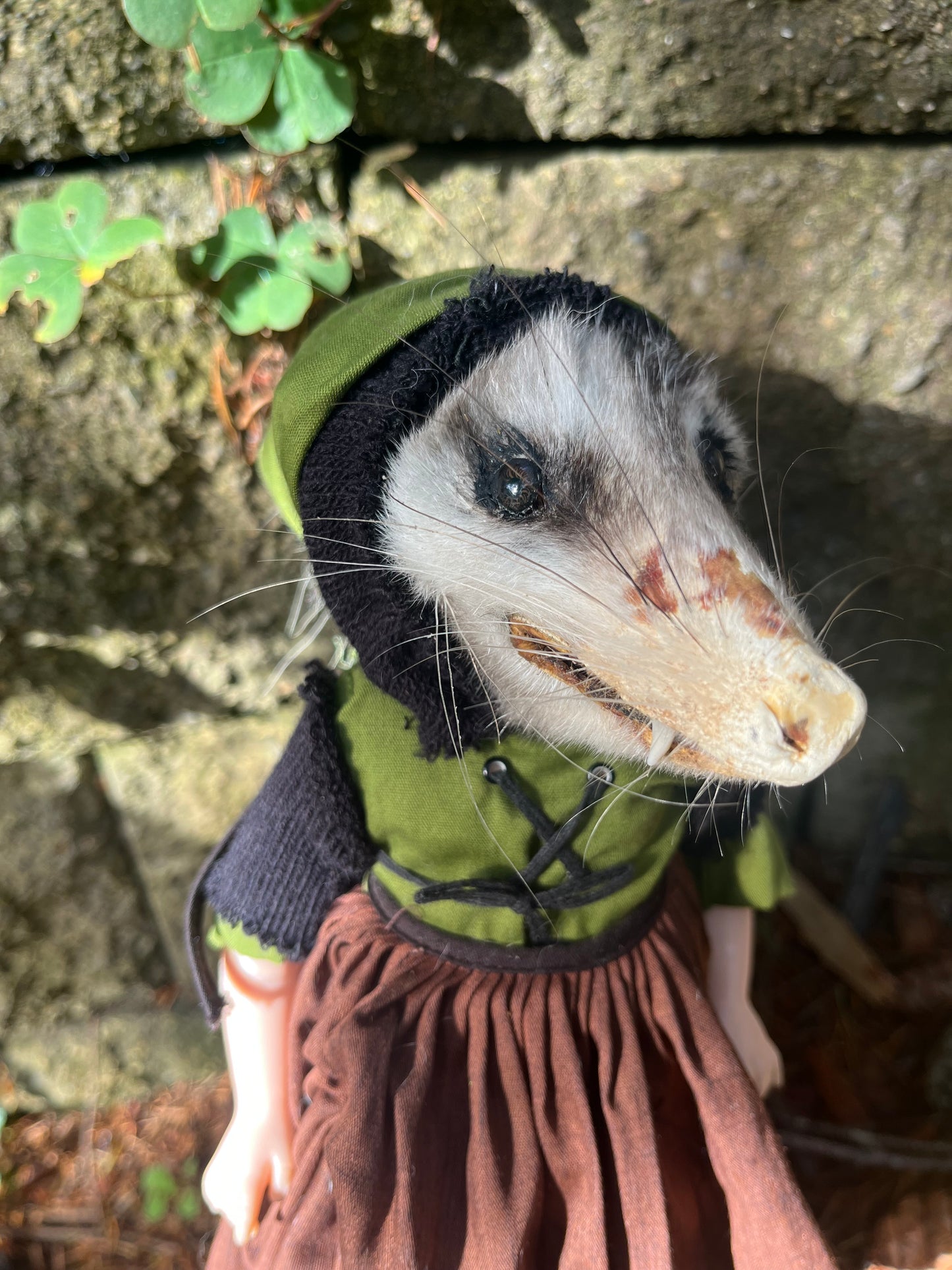 Esmeralda Opossum