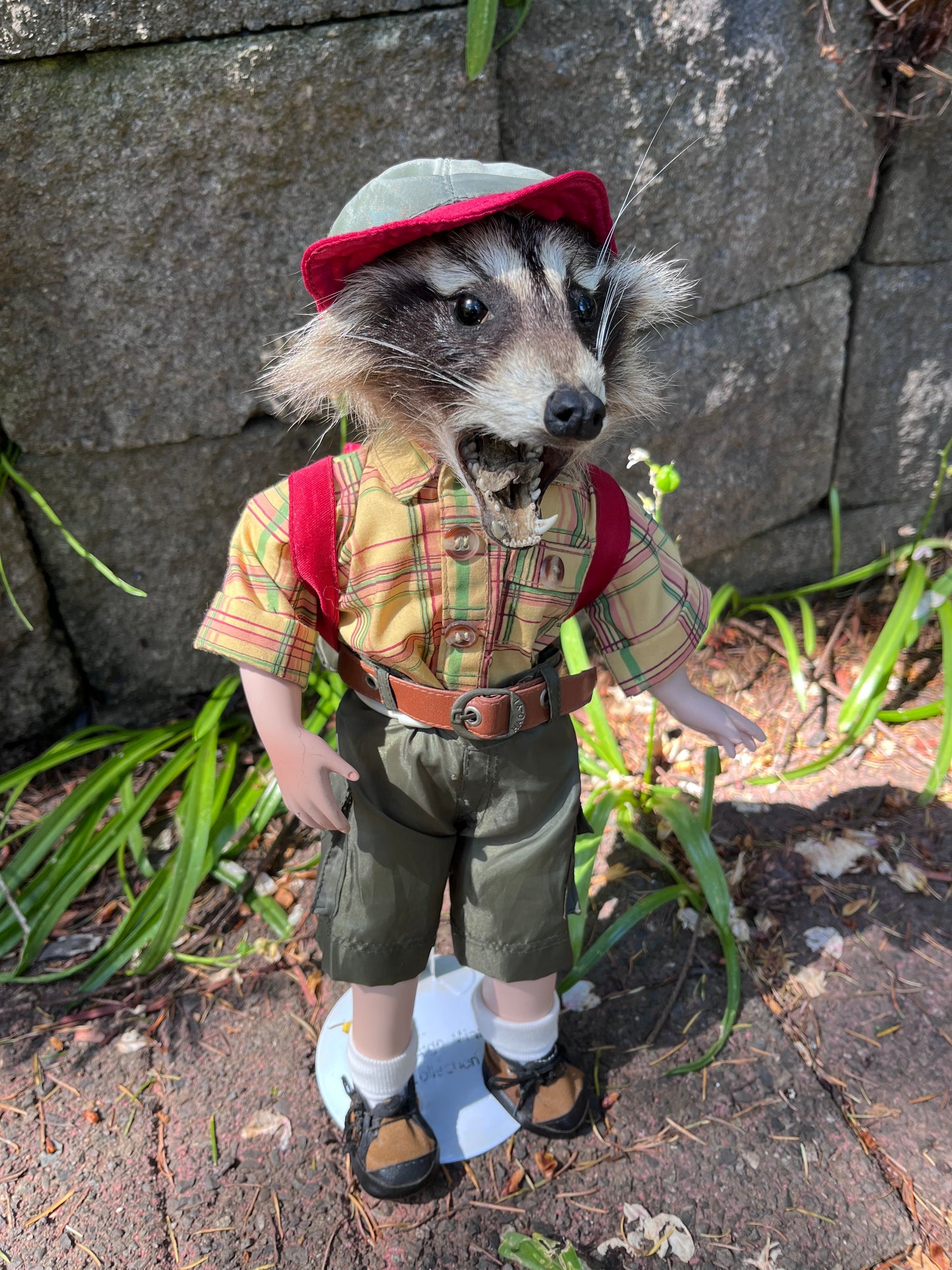 Lil camper raccoon