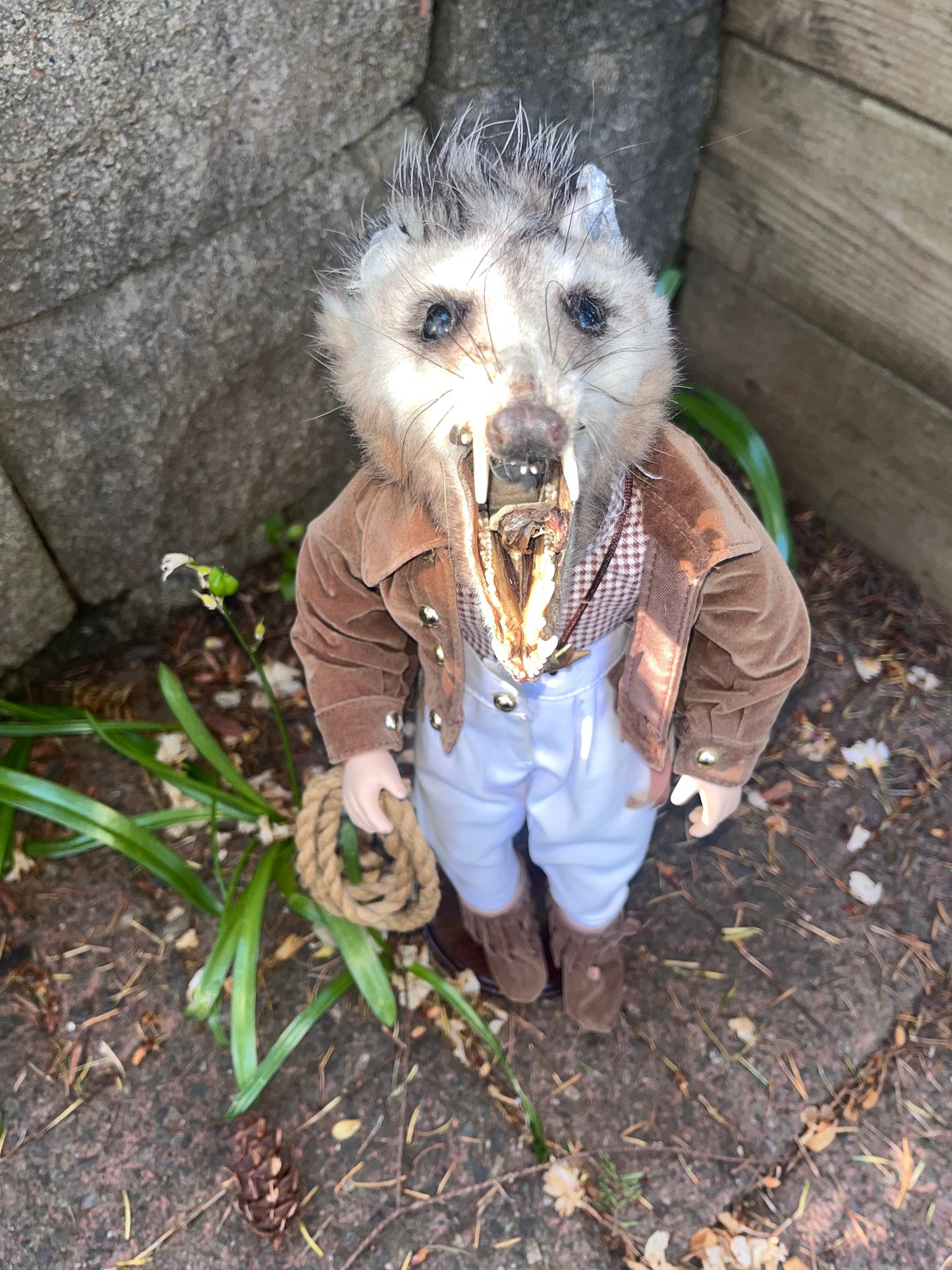 Horse Girl Opossum