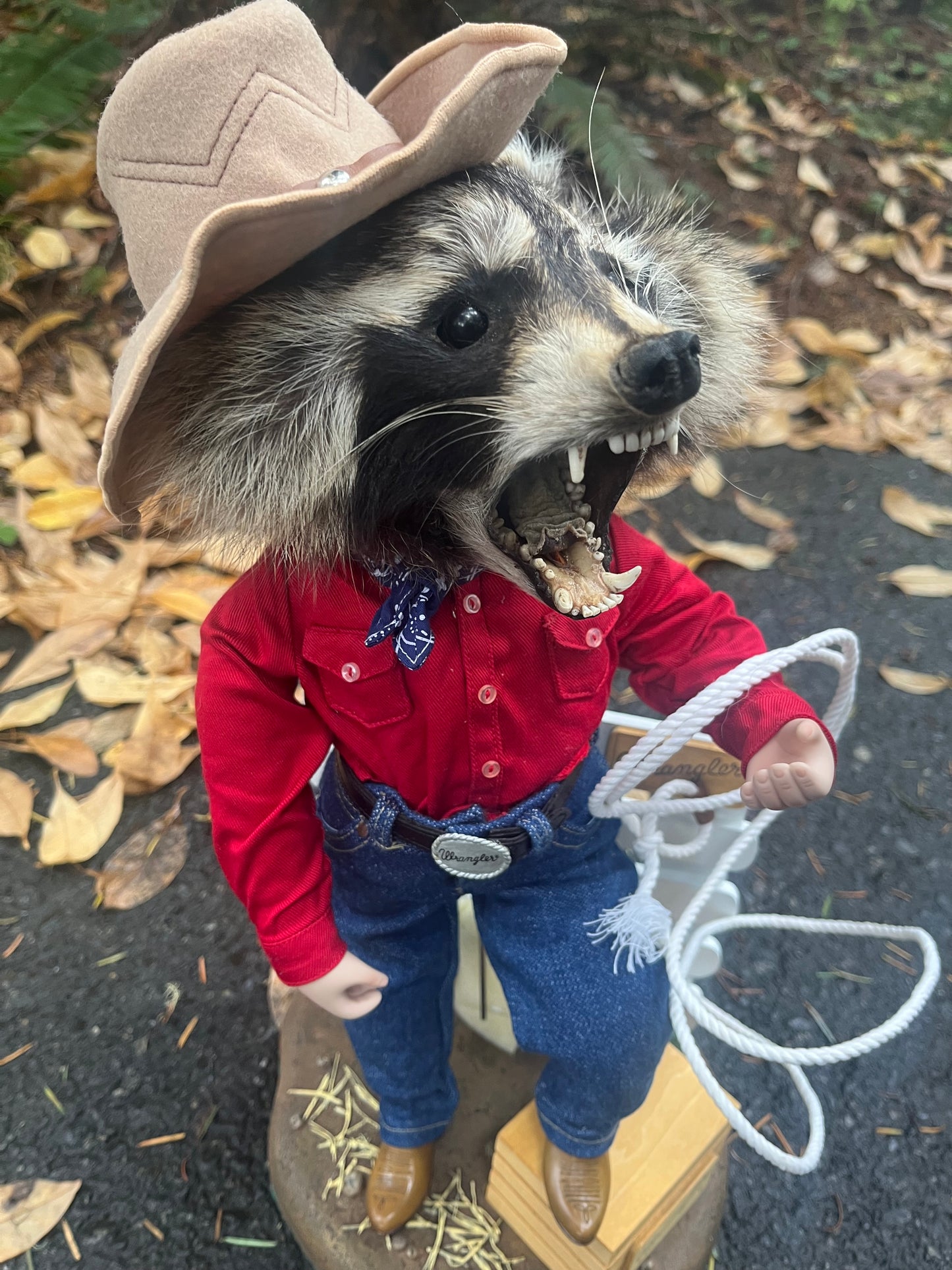 Cowboy Raccoon