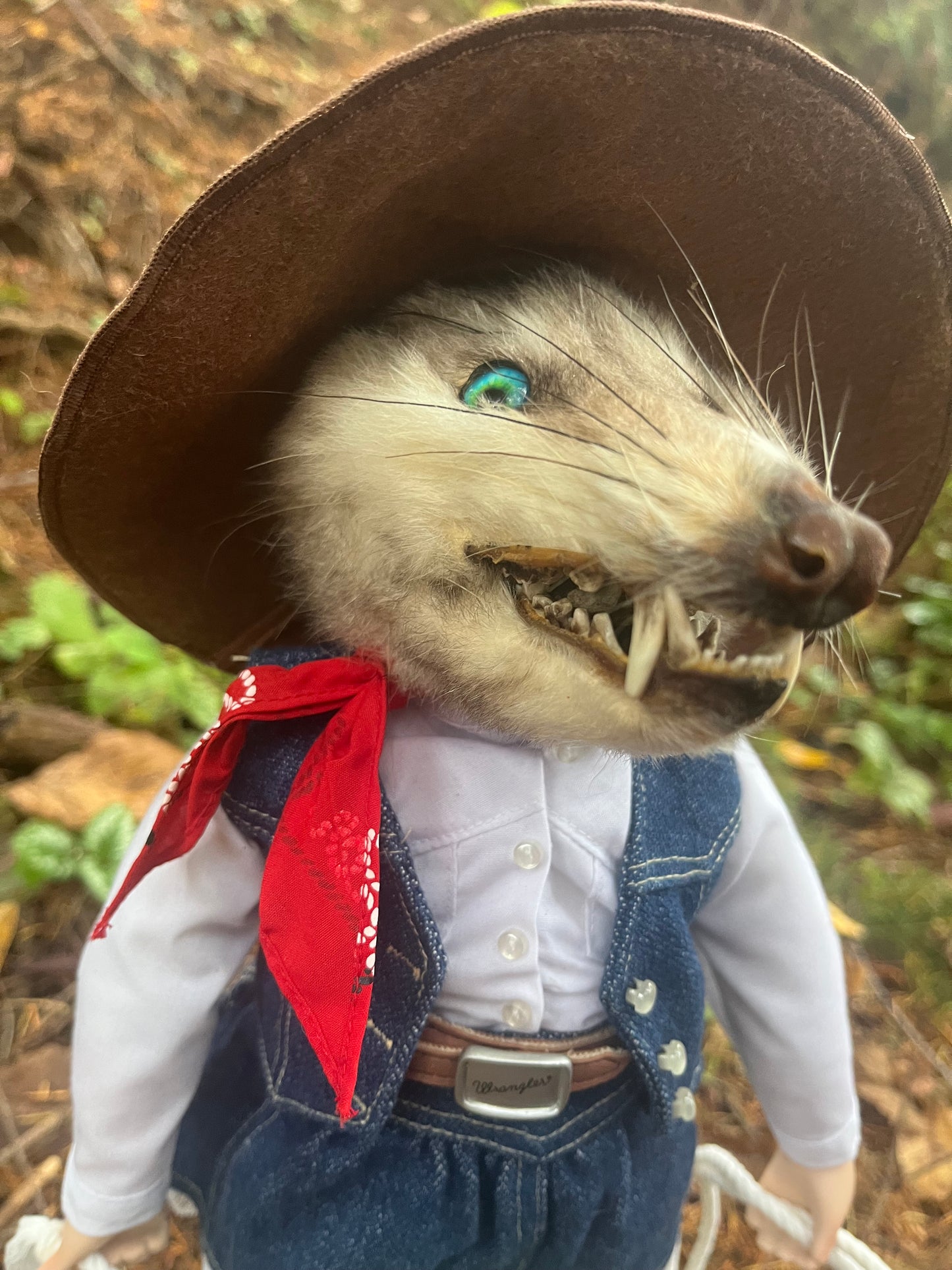 Opossum Cowgirl