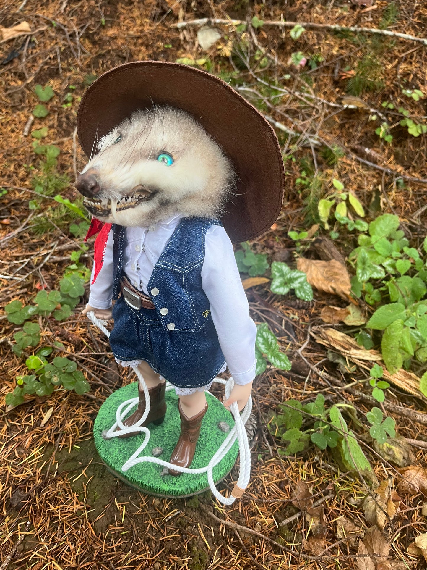 Opossum Cowgirl