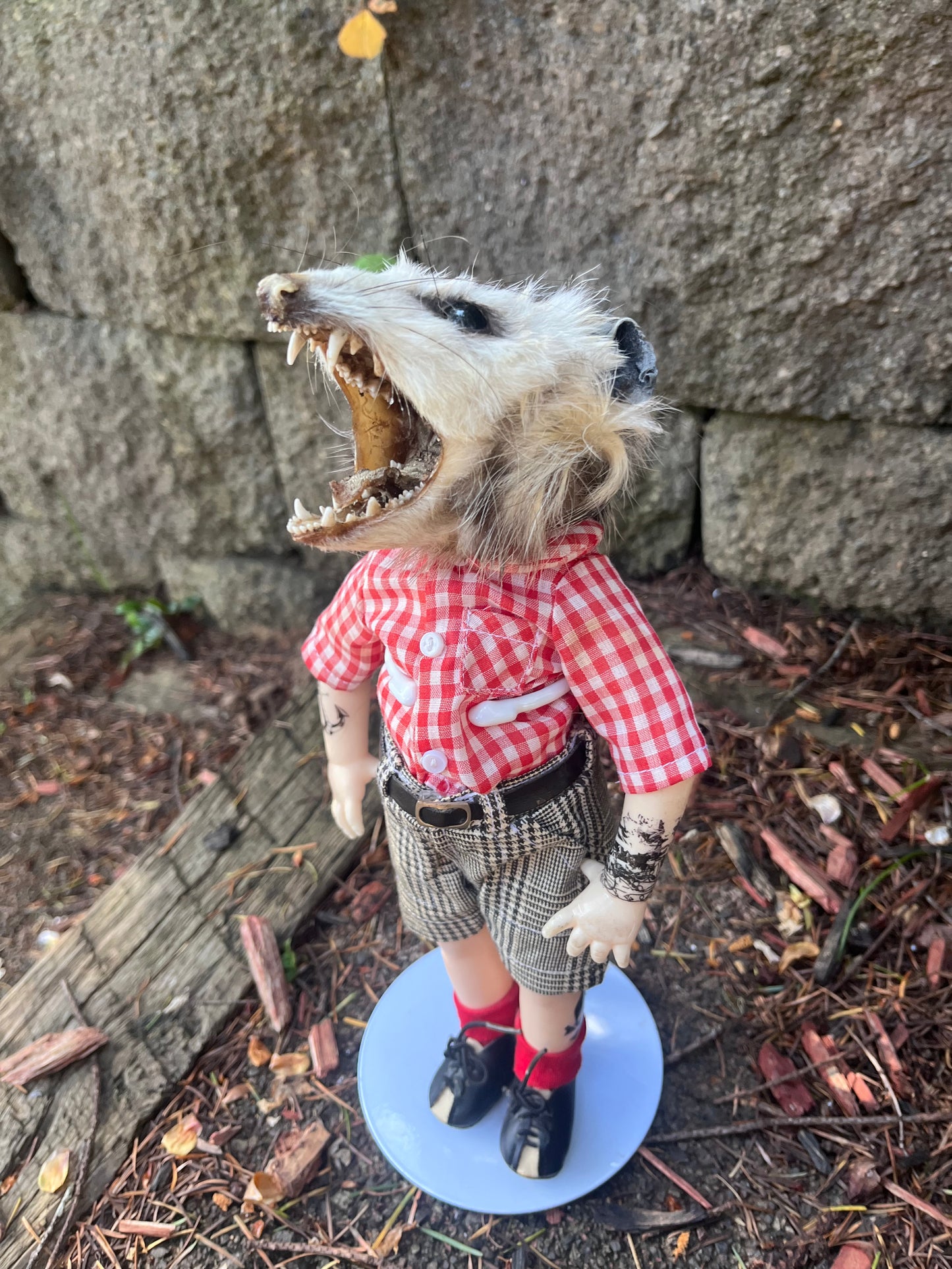 Hardcore opossum