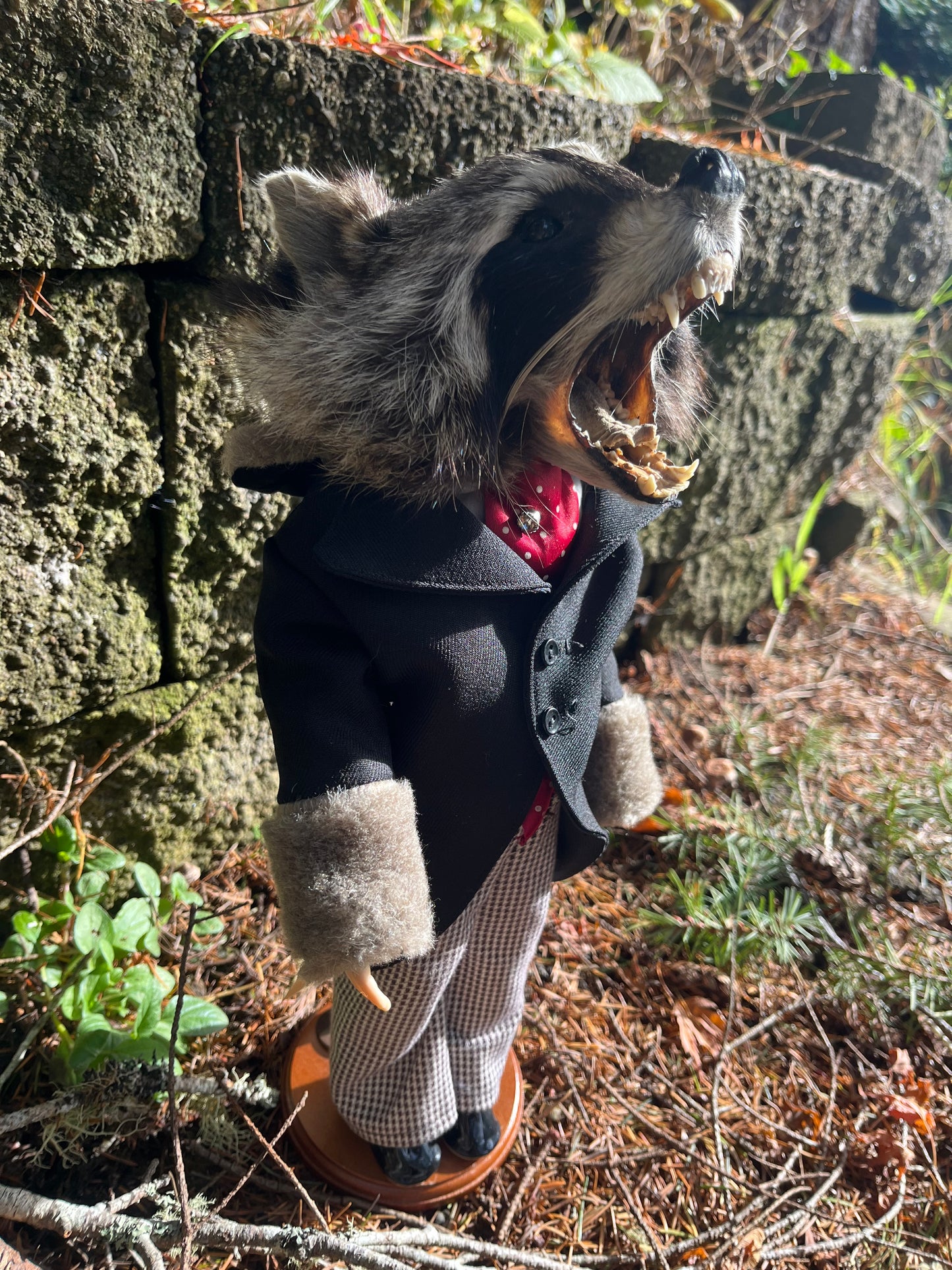 Tycoon Raccoon