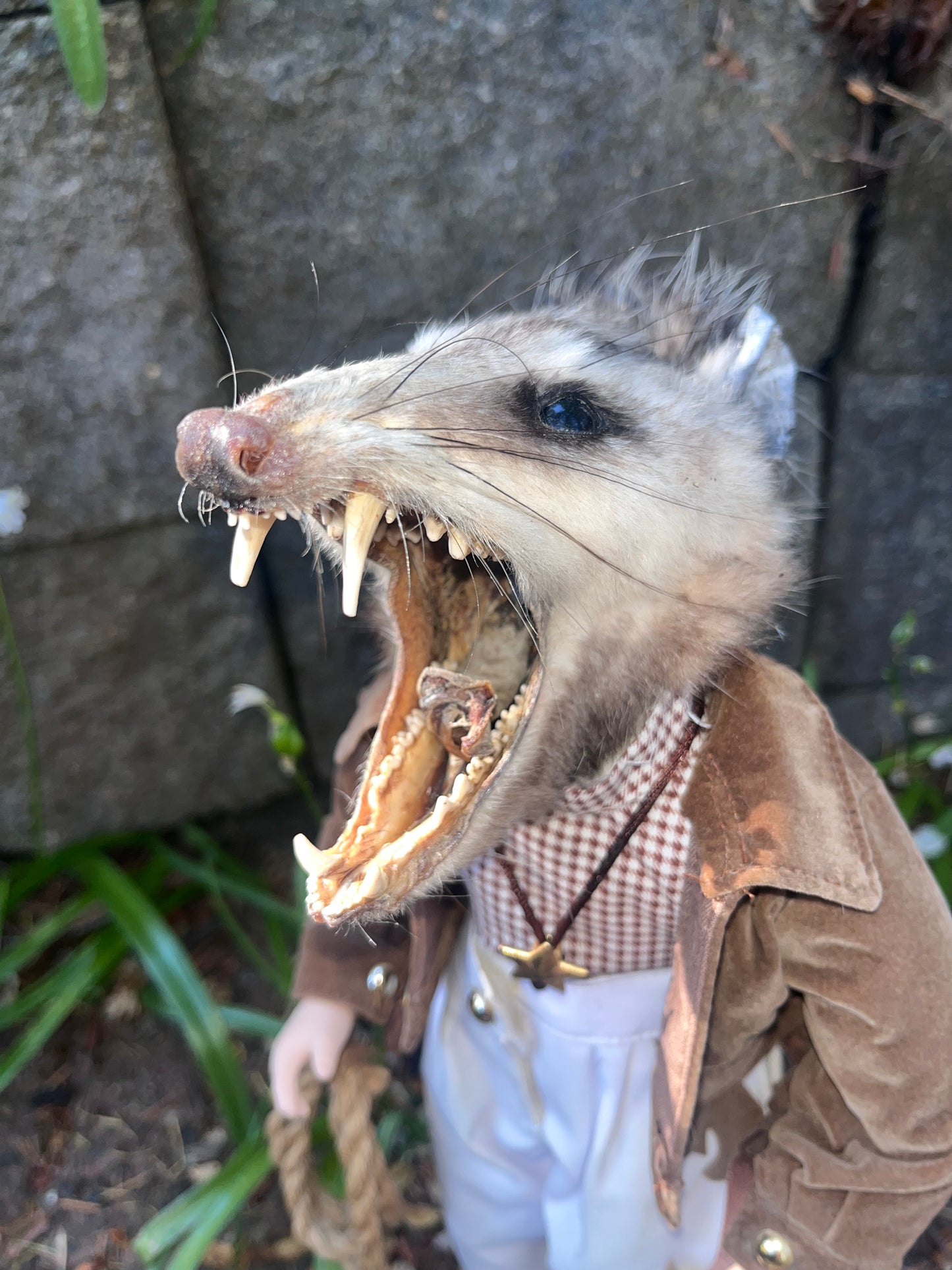 Horse Girl Opossum