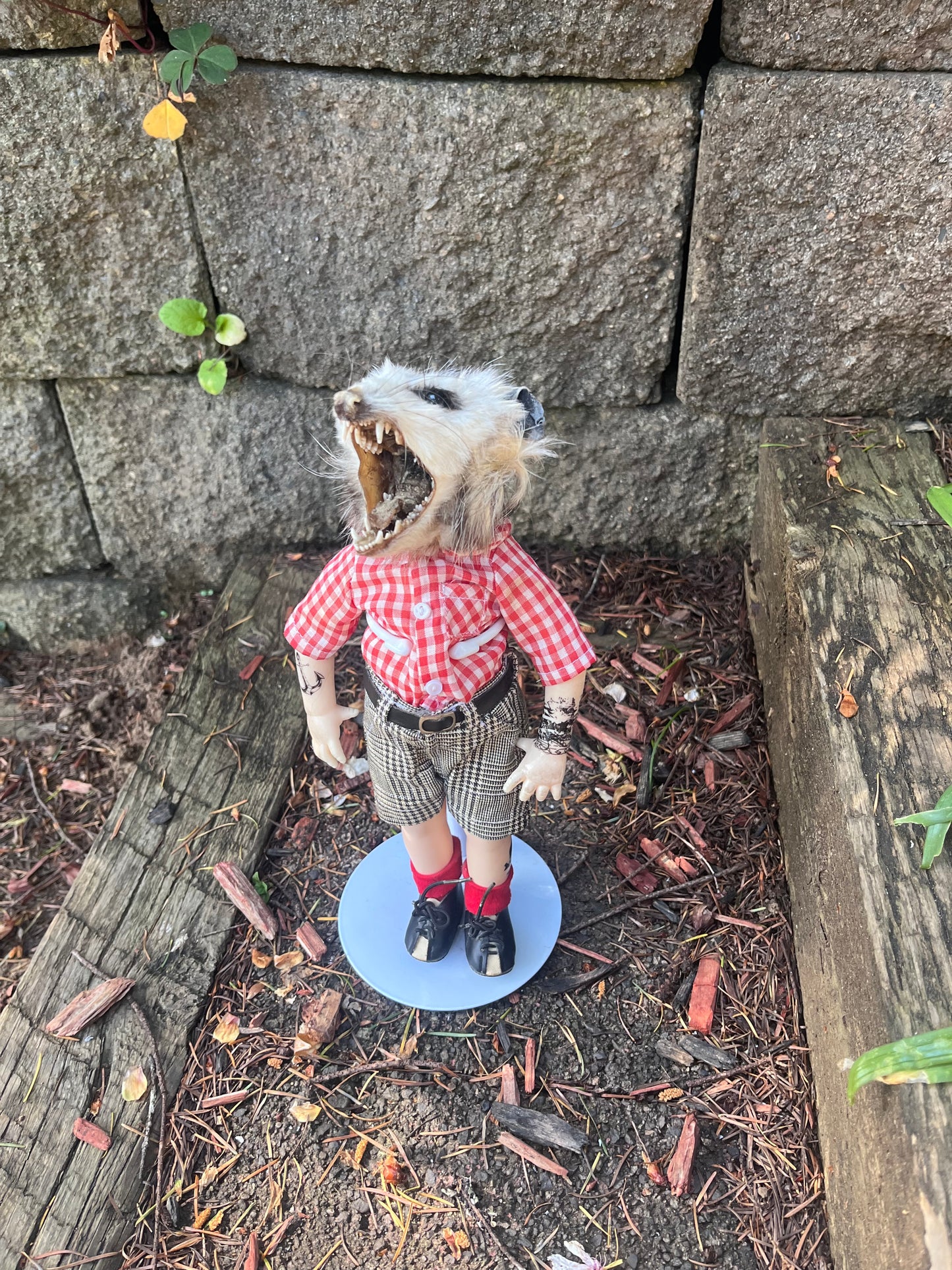 Hardcore opossum