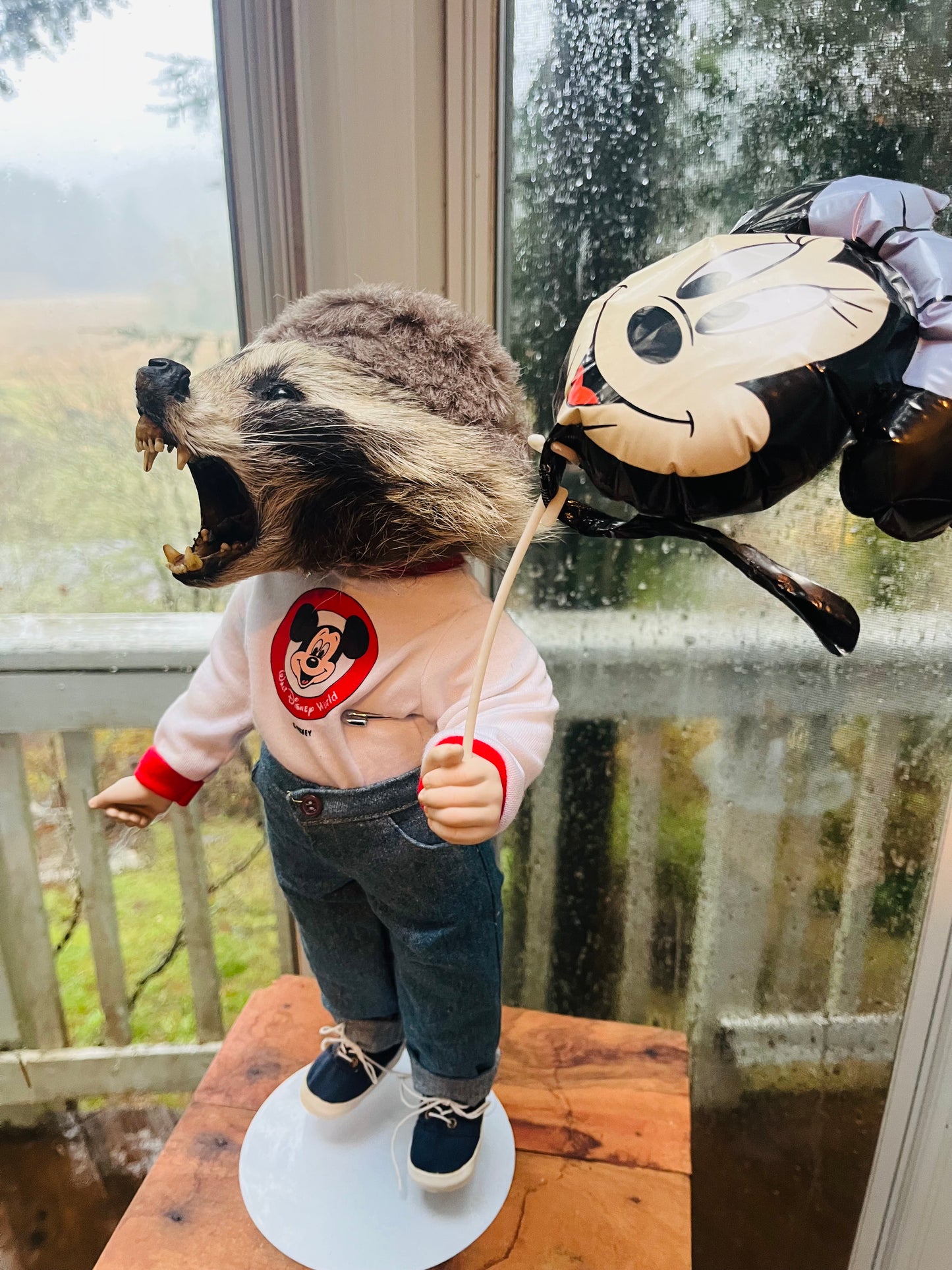 Disney raccoon