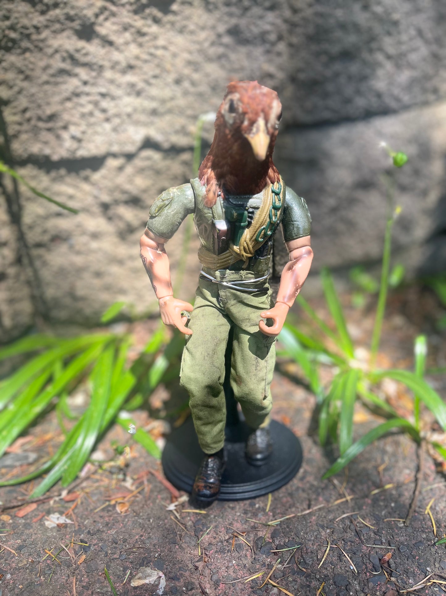 GI Joe Pheasant
