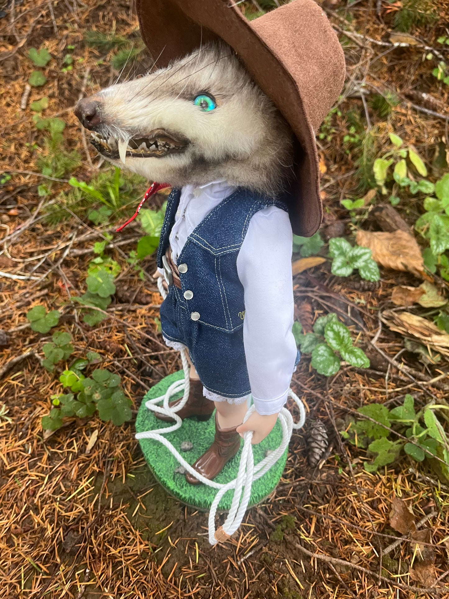 Opossum Cowgirl