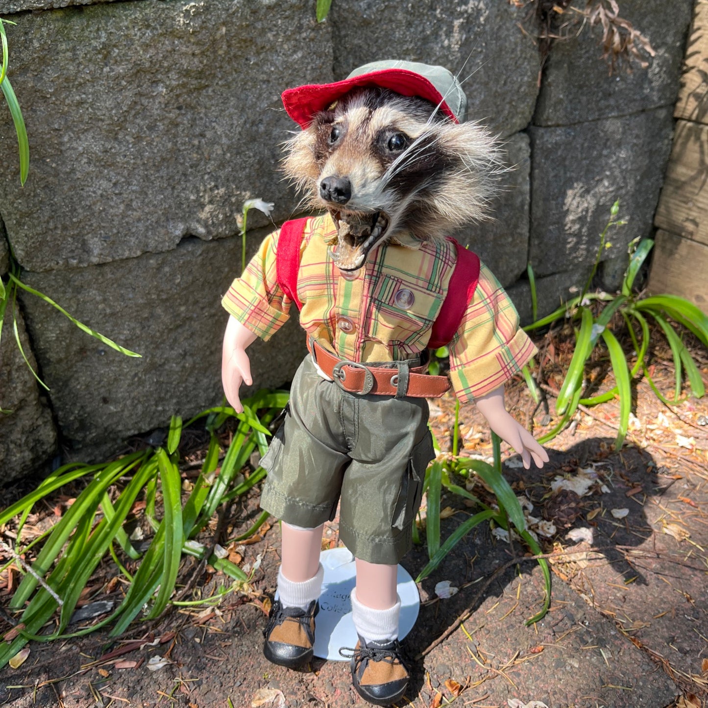 Lil camper raccoon