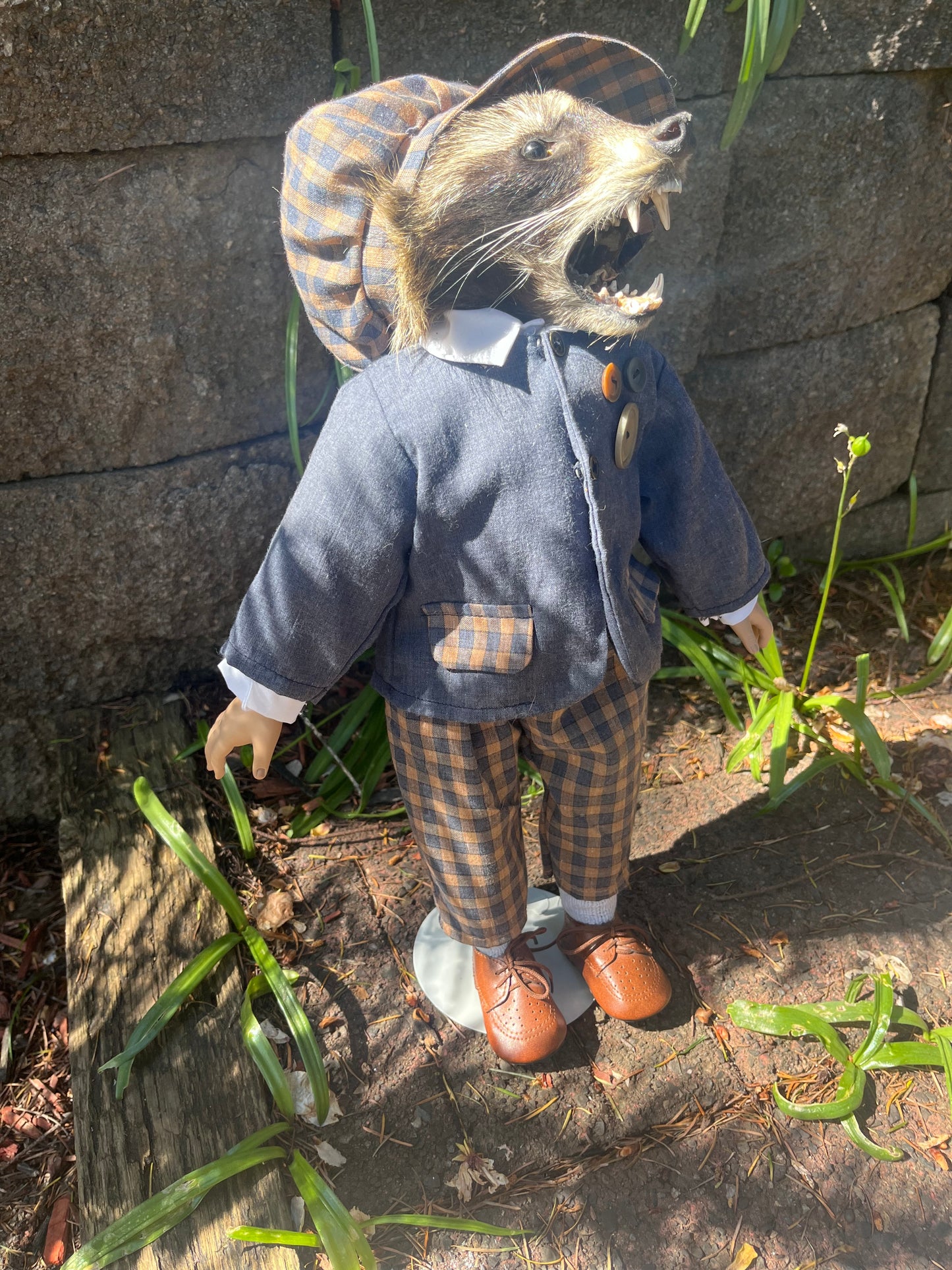 Dapper raccoon