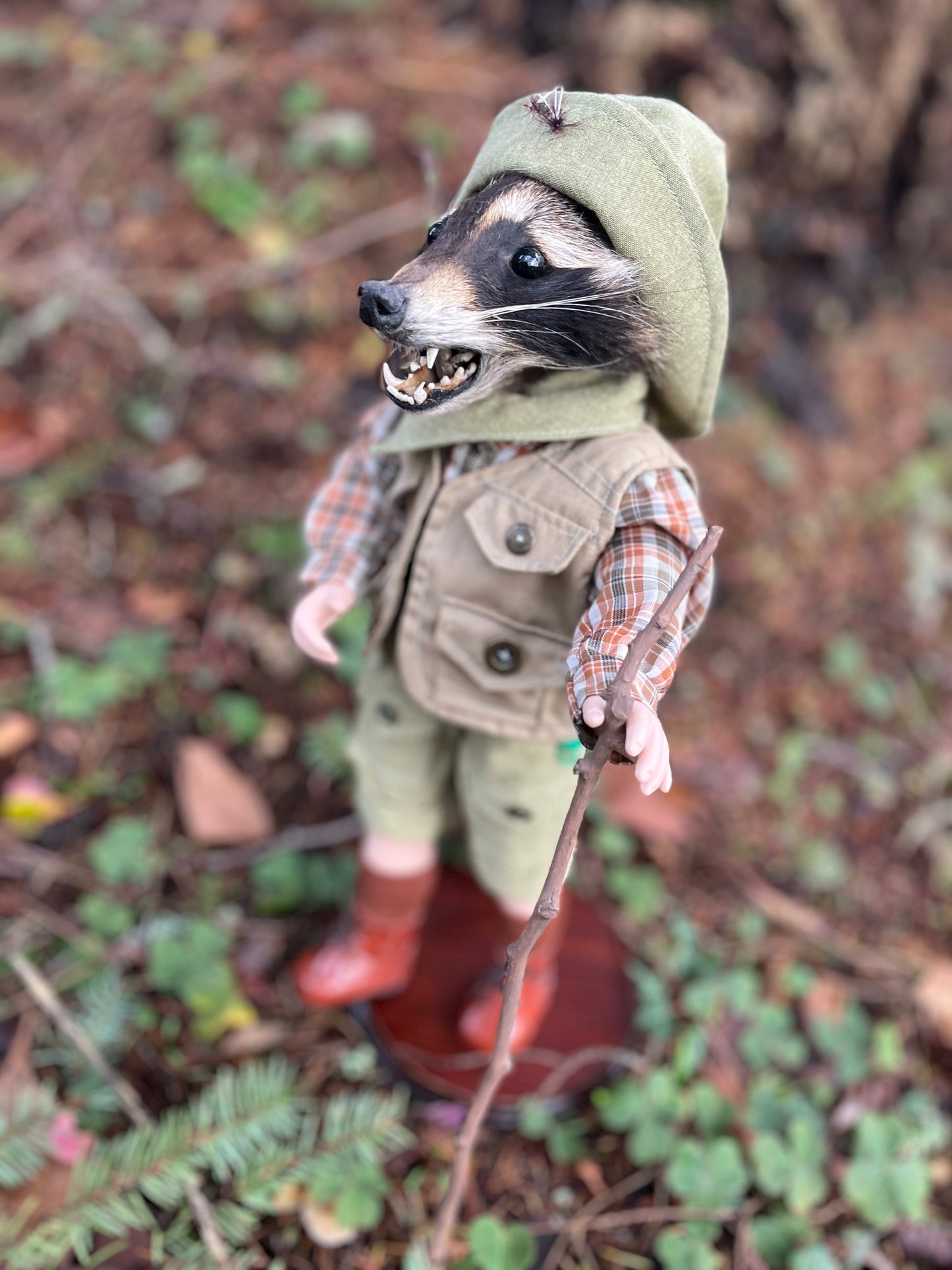 Lil’ Hiker Raccoon