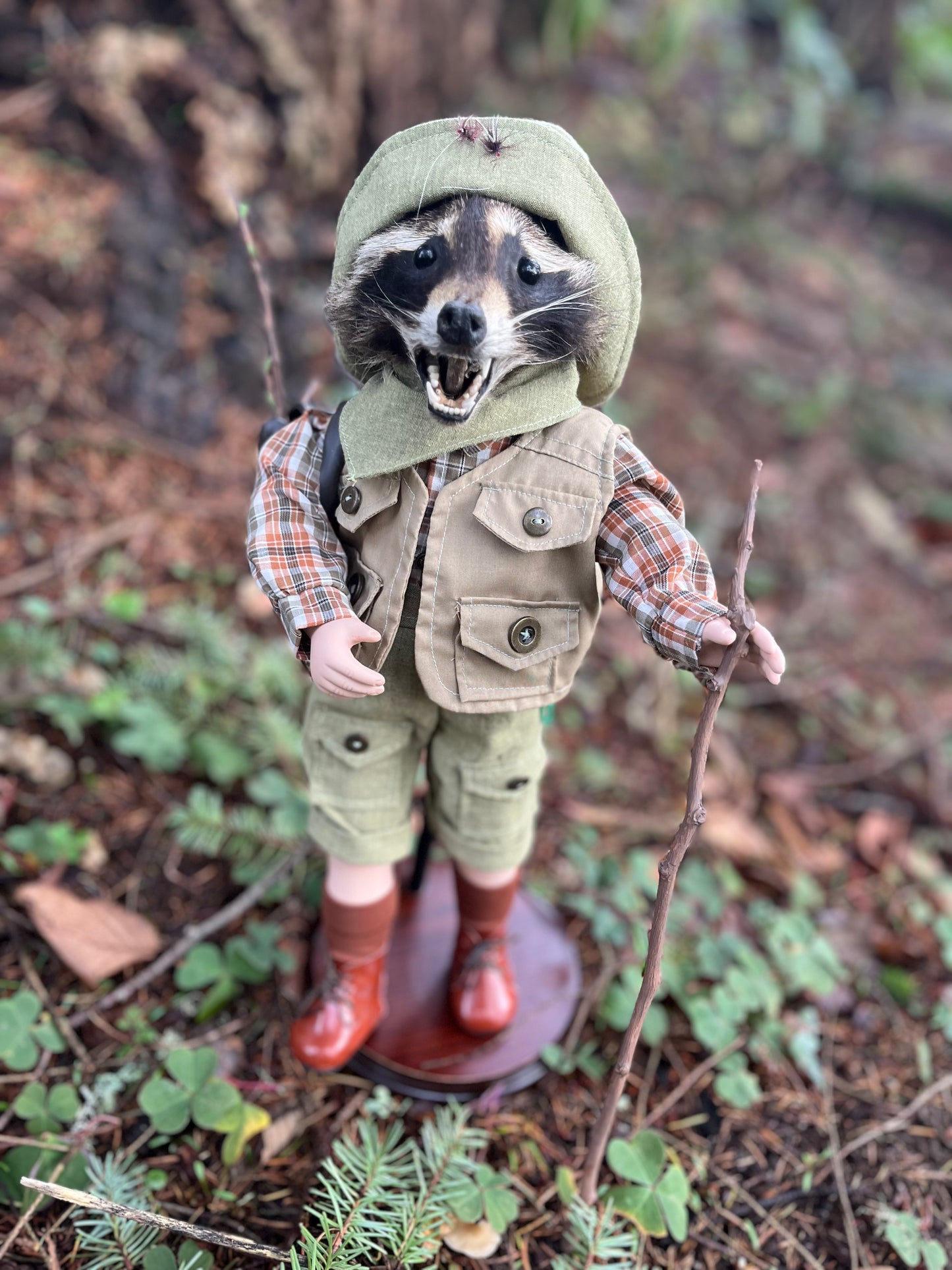 Lil’ Hiker Raccoon