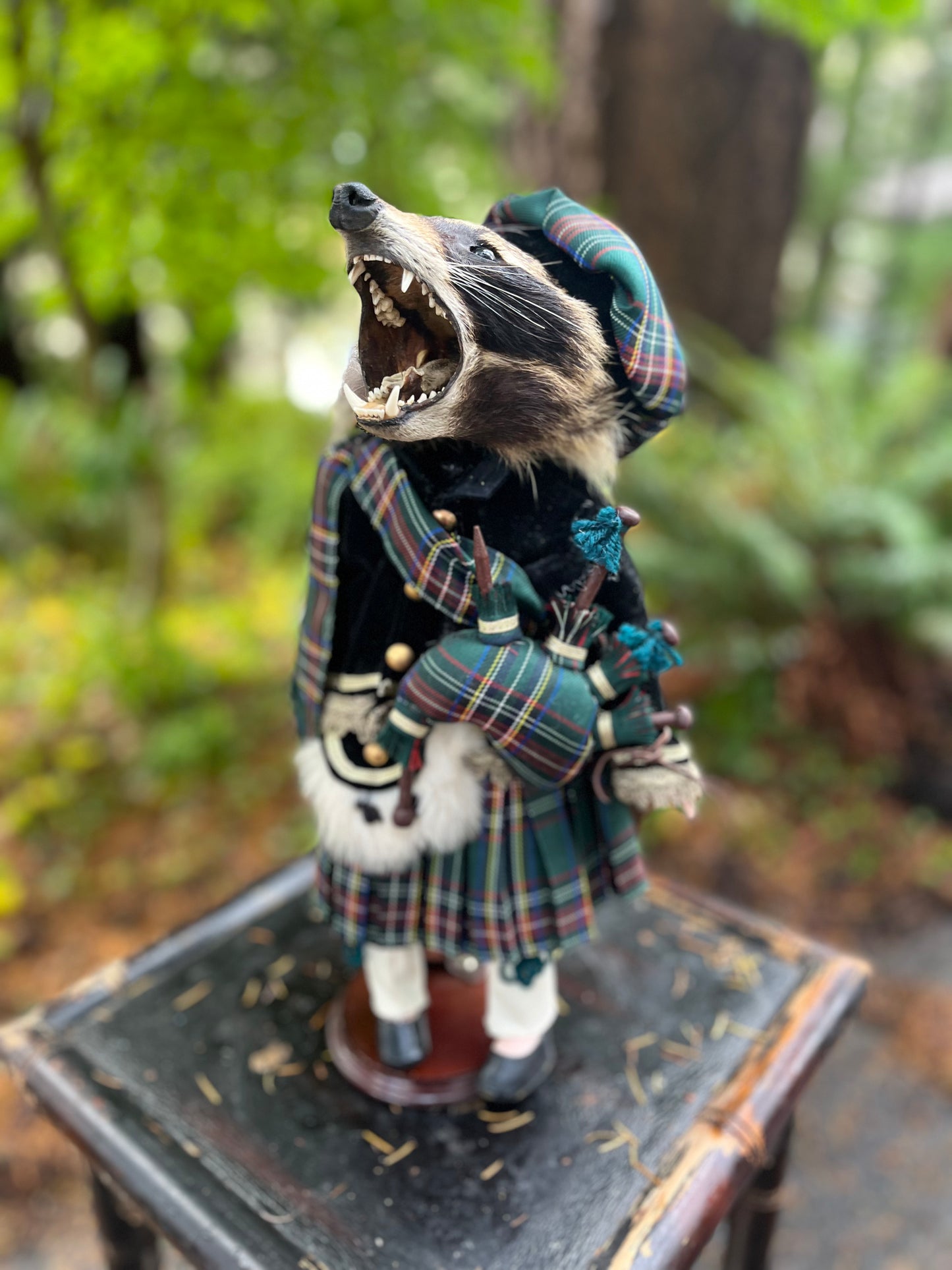 Bagpiper Raccoon