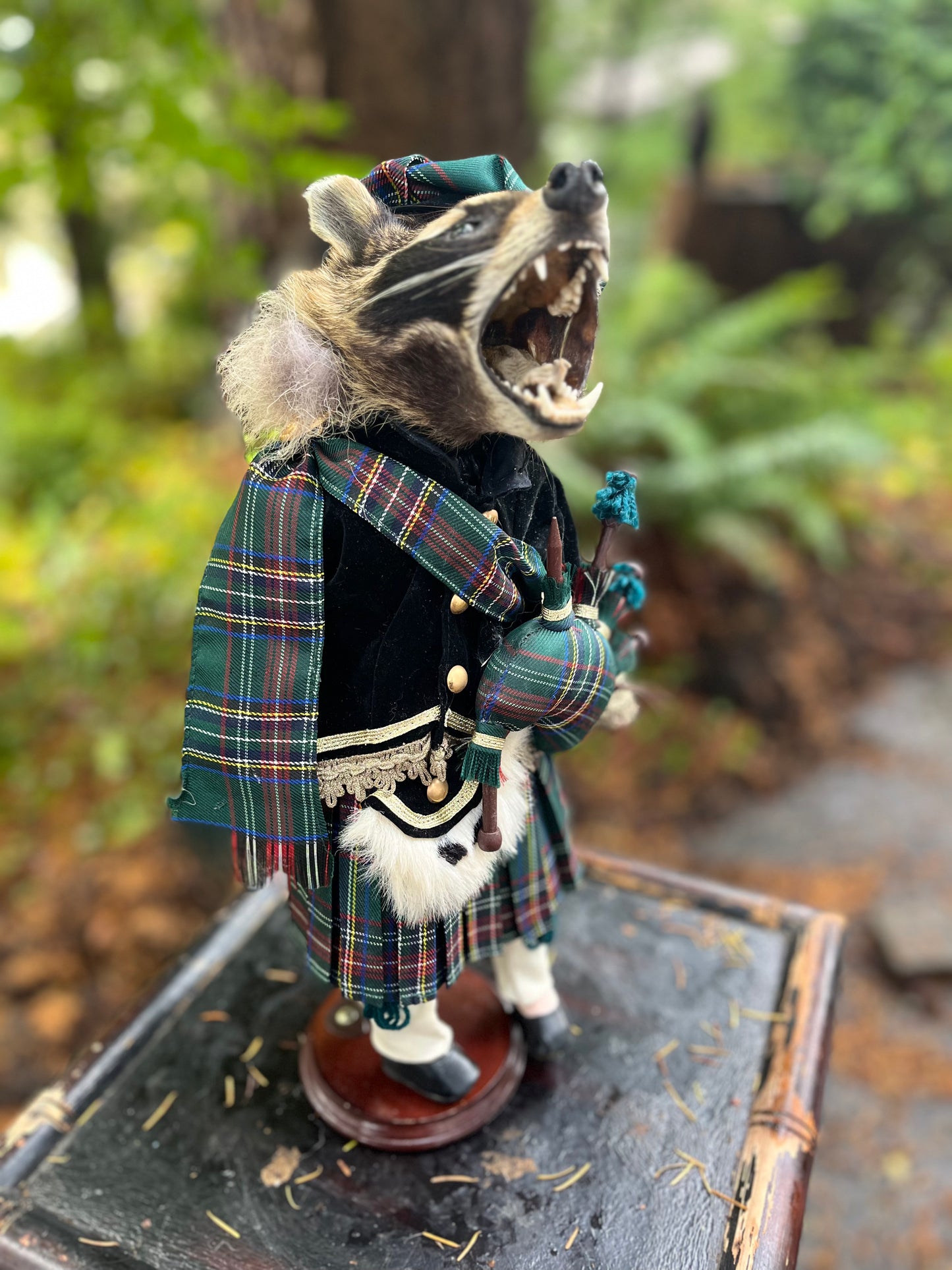 Bagpiper Raccoon