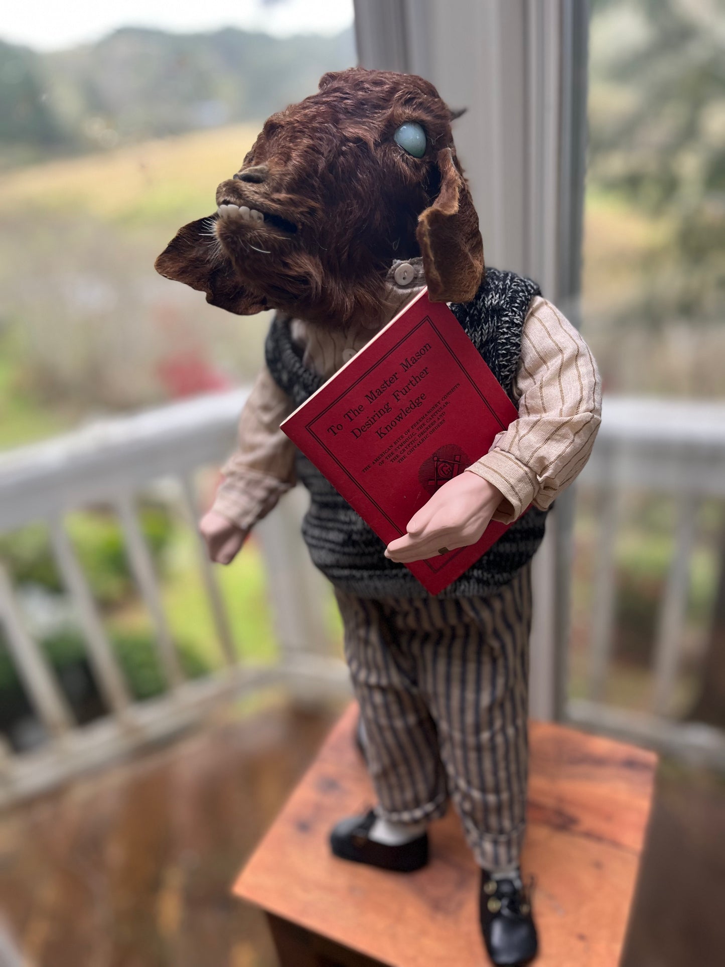 Taxidermy Art Doll Goat