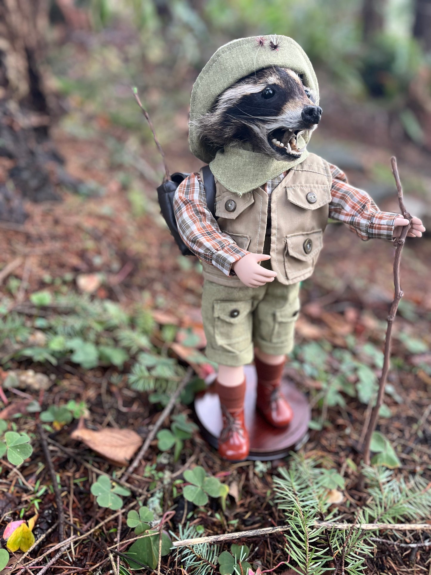 Lil’ Hiker Raccoon