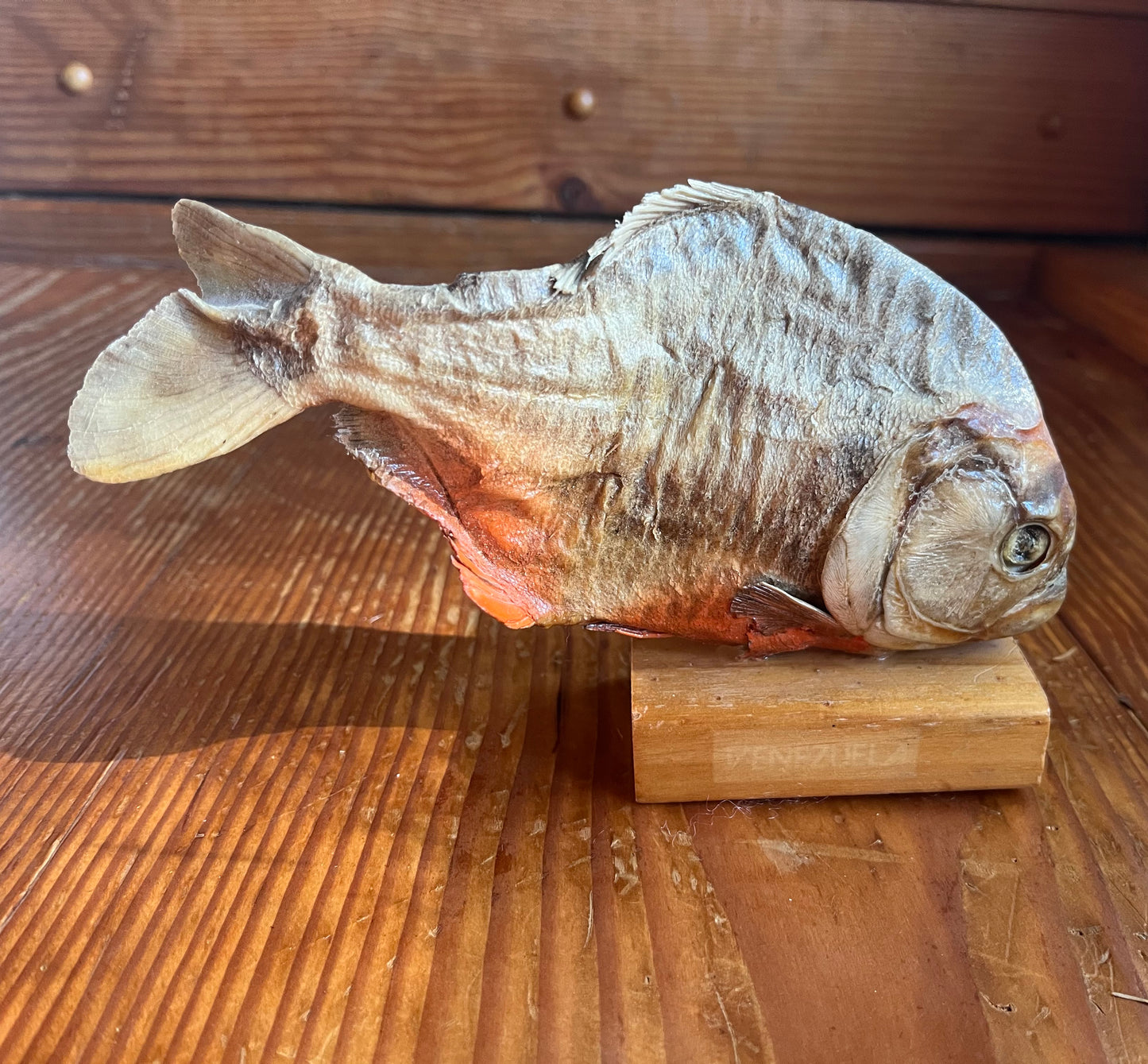 Piranha