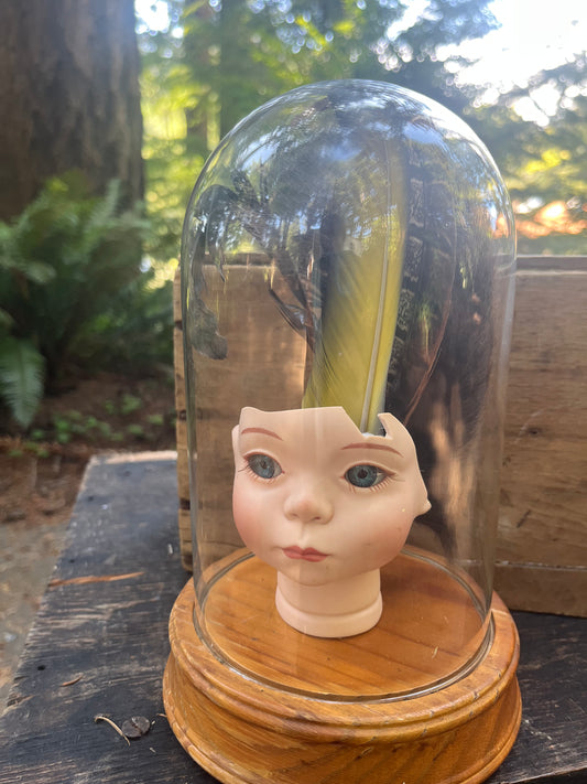 Creepy porcelain doll head with cloche