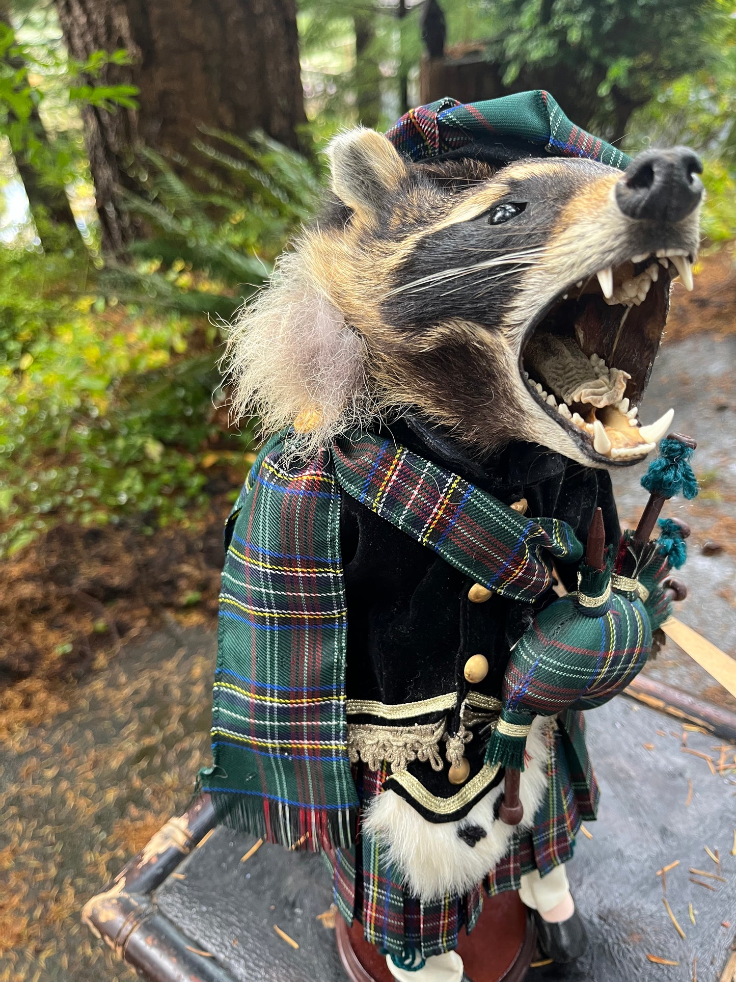 Bagpiper Raccoon